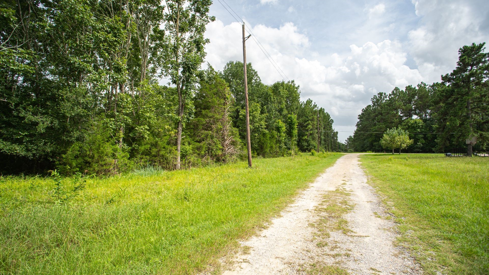 384 Hideaway Drive, Trinity, TX, 75862 | 48984110 | Realty Texas LLC