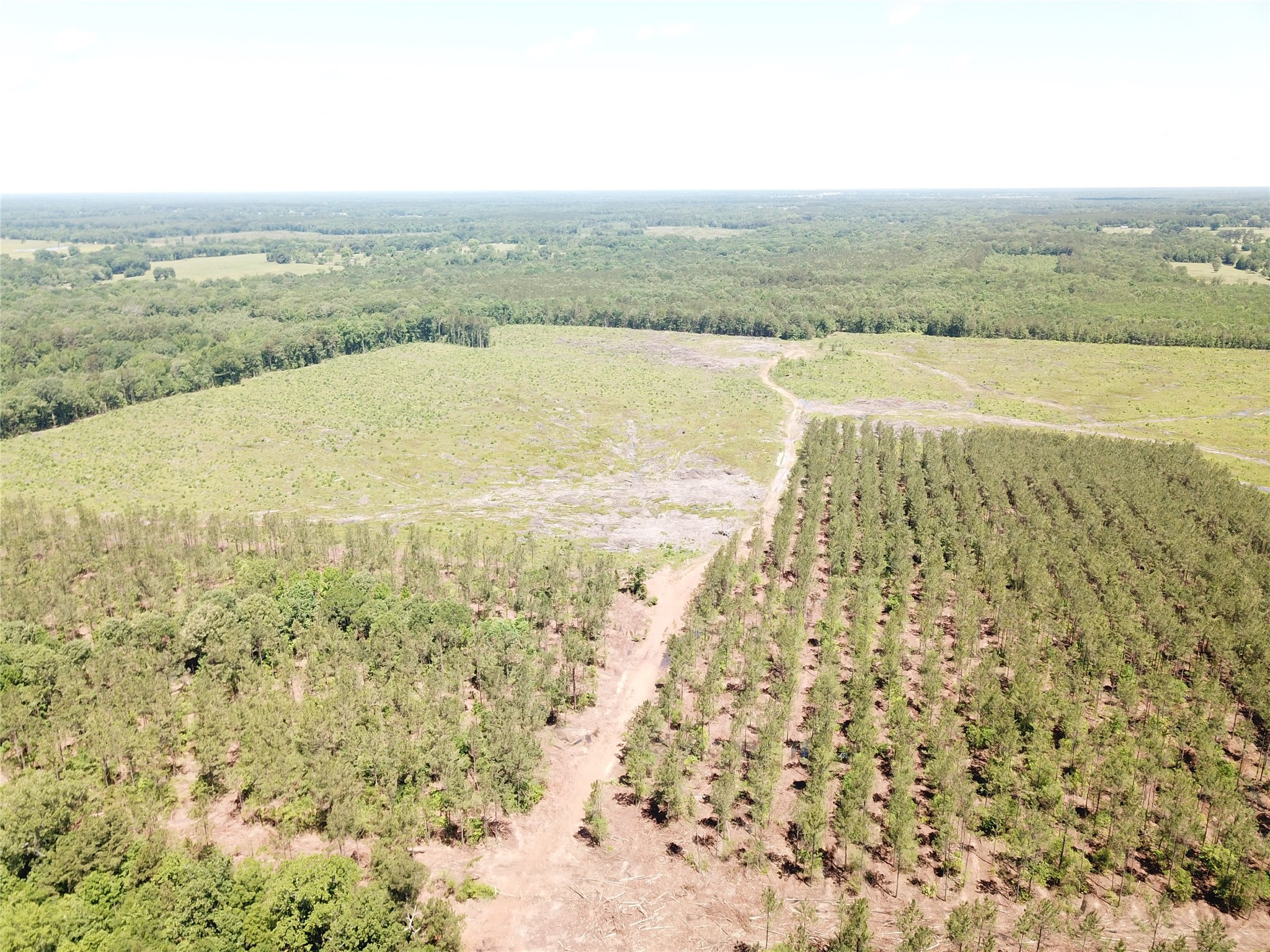 Off CR 4290, Simms, TX, 75574 | 21205125 | Realty Texas LLC