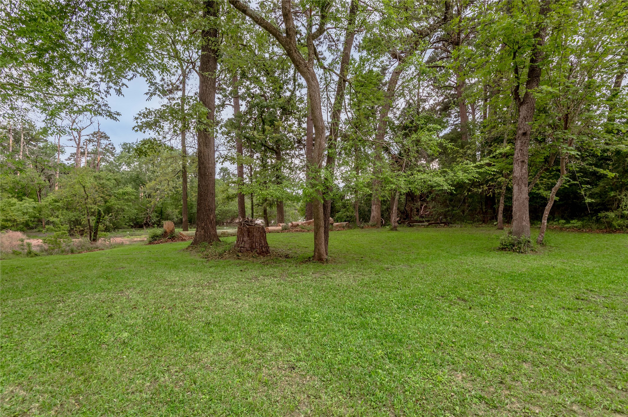 318 Timberline Drive, Trinity, TX, 75862 | 53190867 | Realty Texas LLC