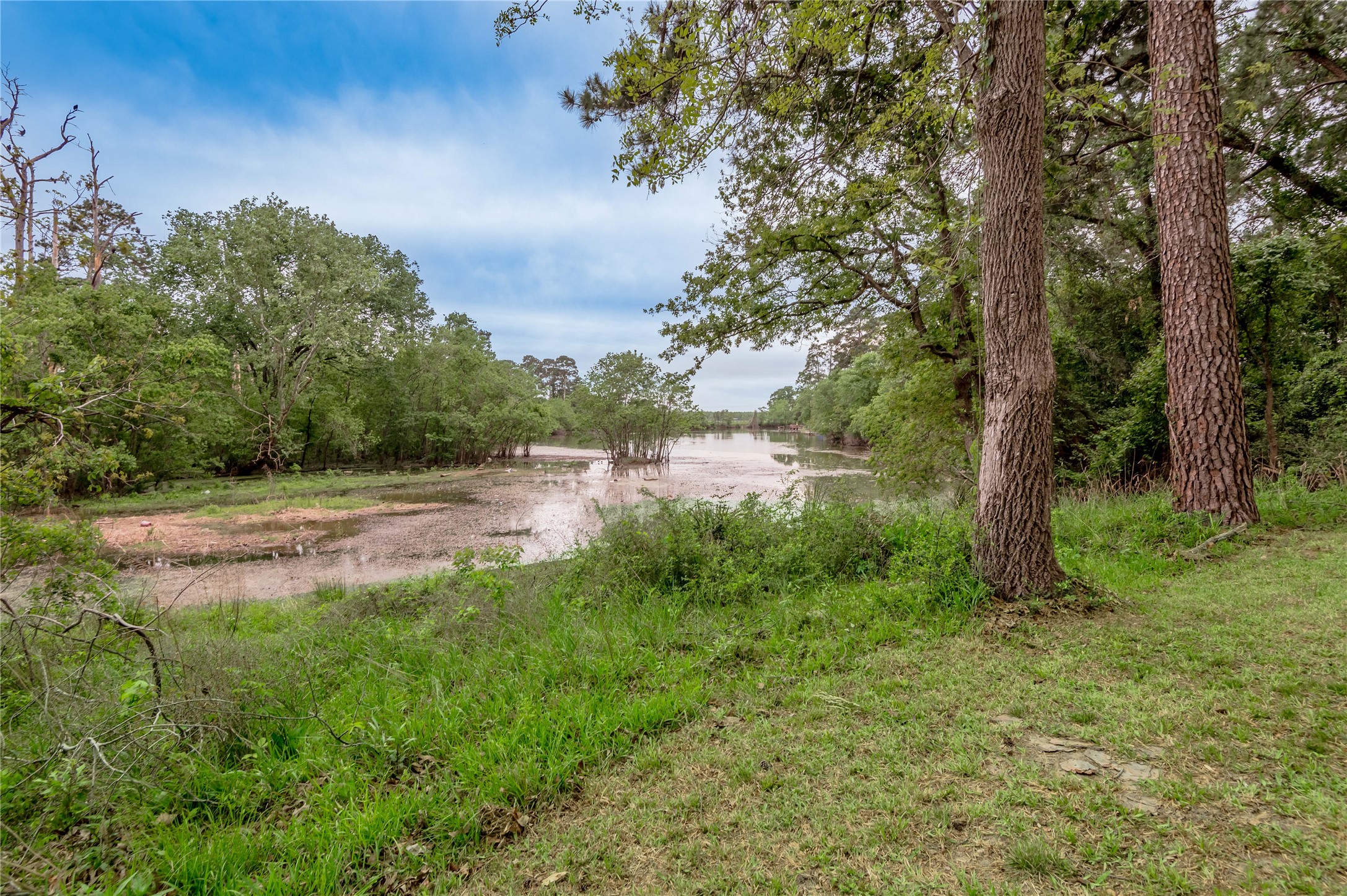 318 Timberline Drive, Trinity, TX, 75862 | 53190867 | Realty Texas LLC