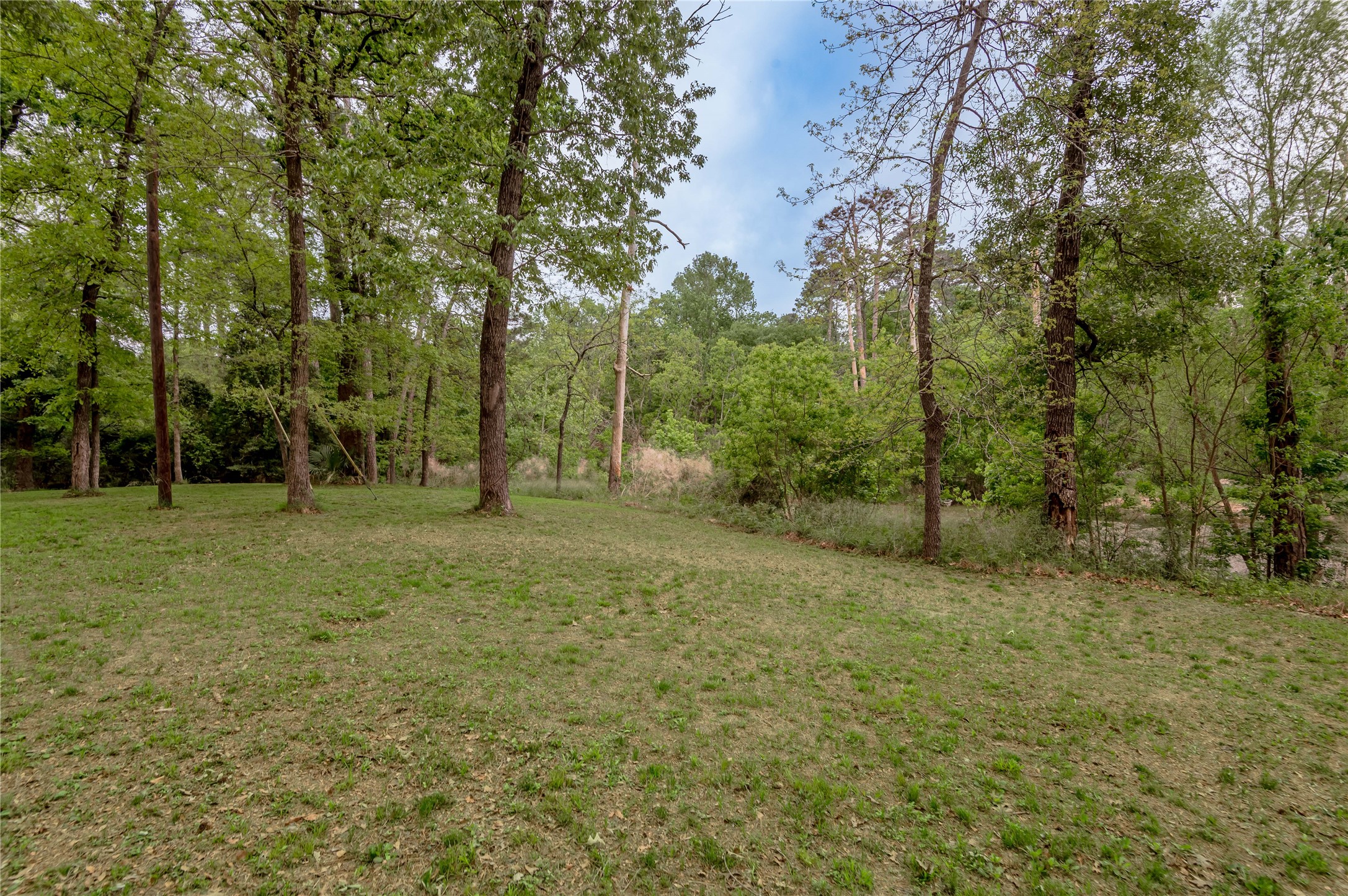 318 Timberline Drive, Trinity, TX, 75862 | 53190867 | Realty Texas LLC