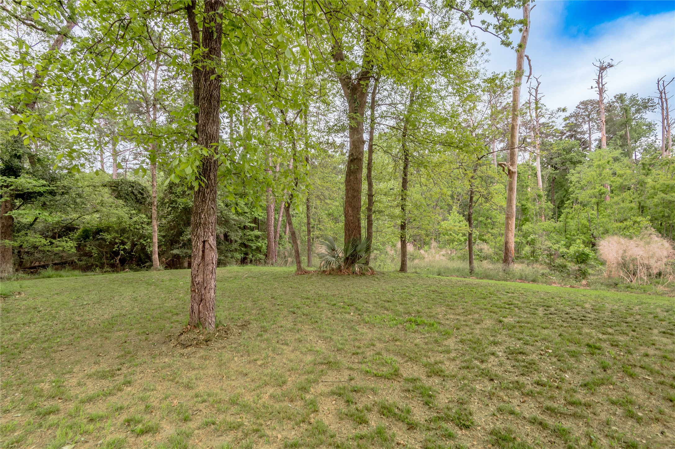 318 Timberline Drive, Trinity, TX, 75862 | 53190867 | Realty Texas LLC