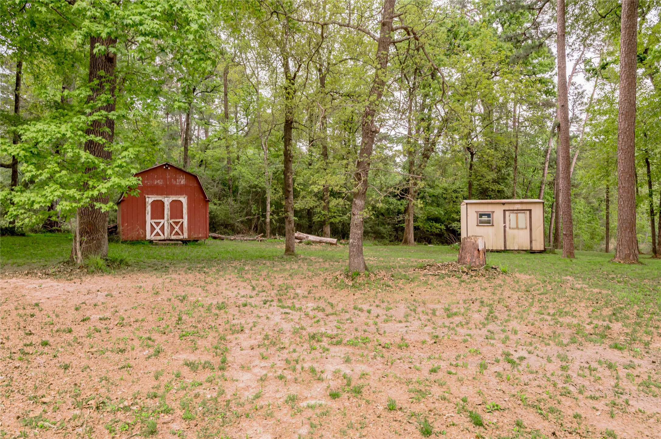 318 Timberline Drive, Trinity, TX, 75862 | 53190867 | Realty Texas LLC