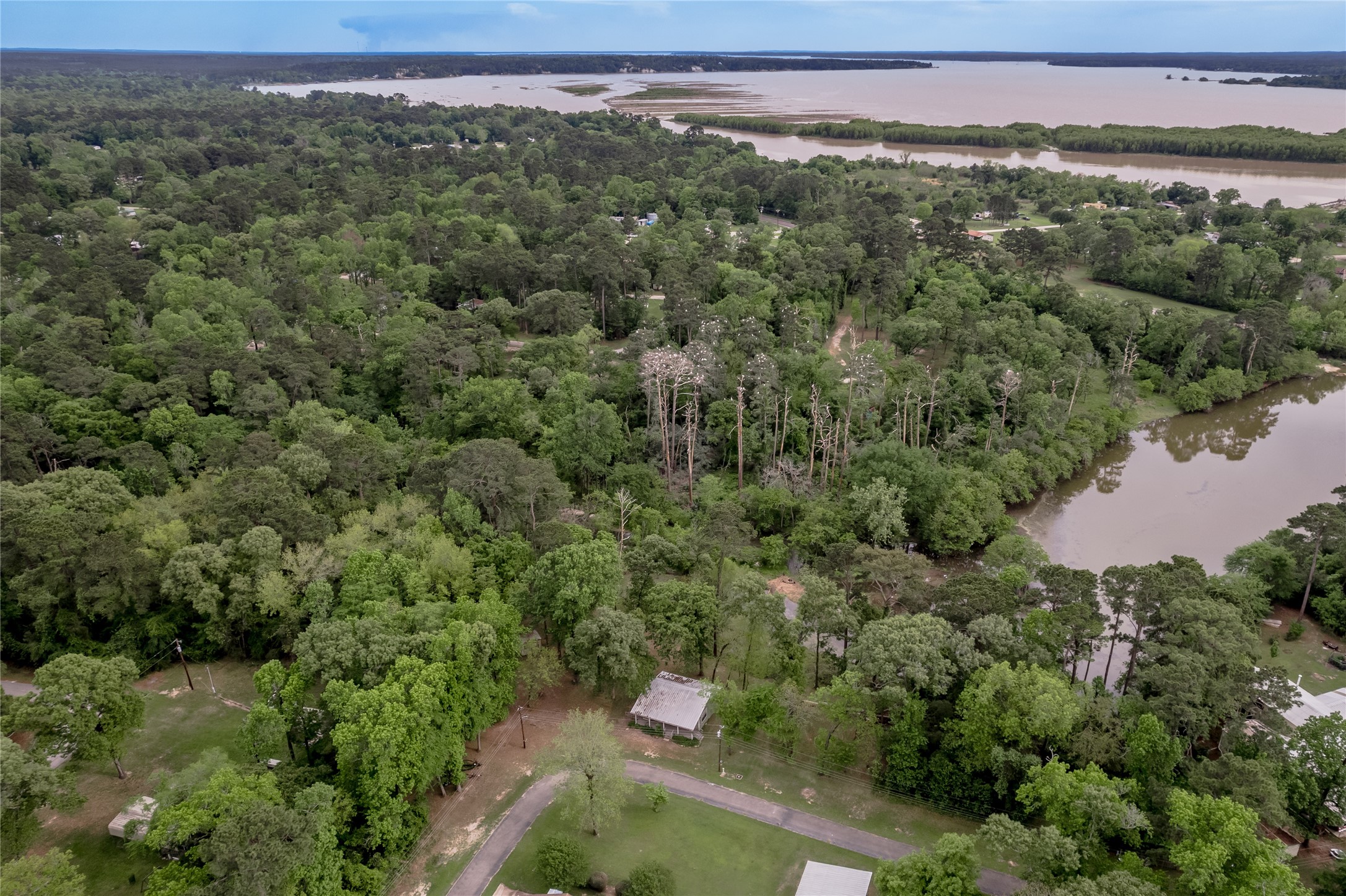 318 Timberline Drive, Trinity, TX, 75862 | 53190867 | Realty Texas LLC
