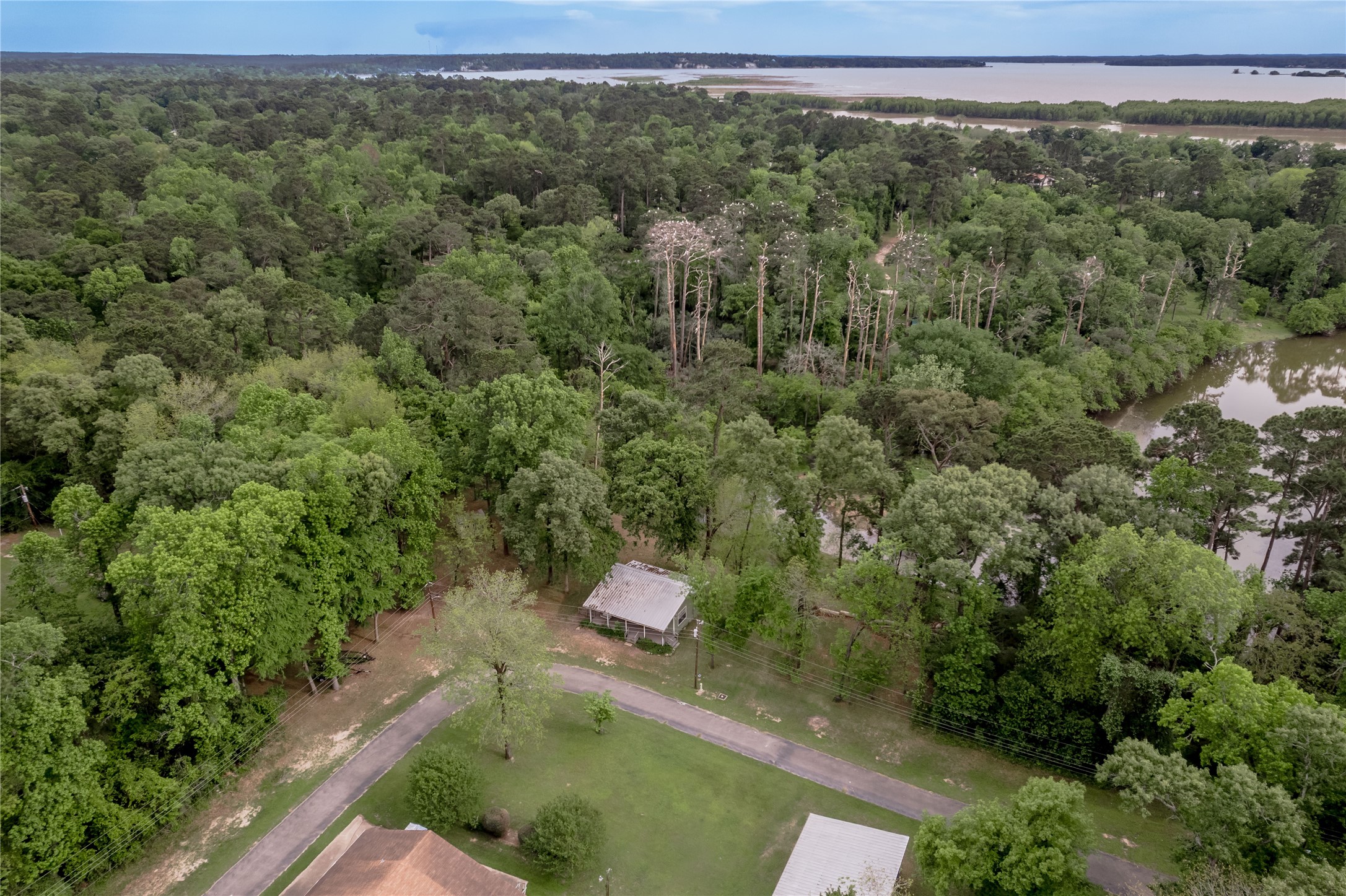 318 Timberline Drive, Trinity, TX, 75862 | 53190867 | Realty Texas LLC