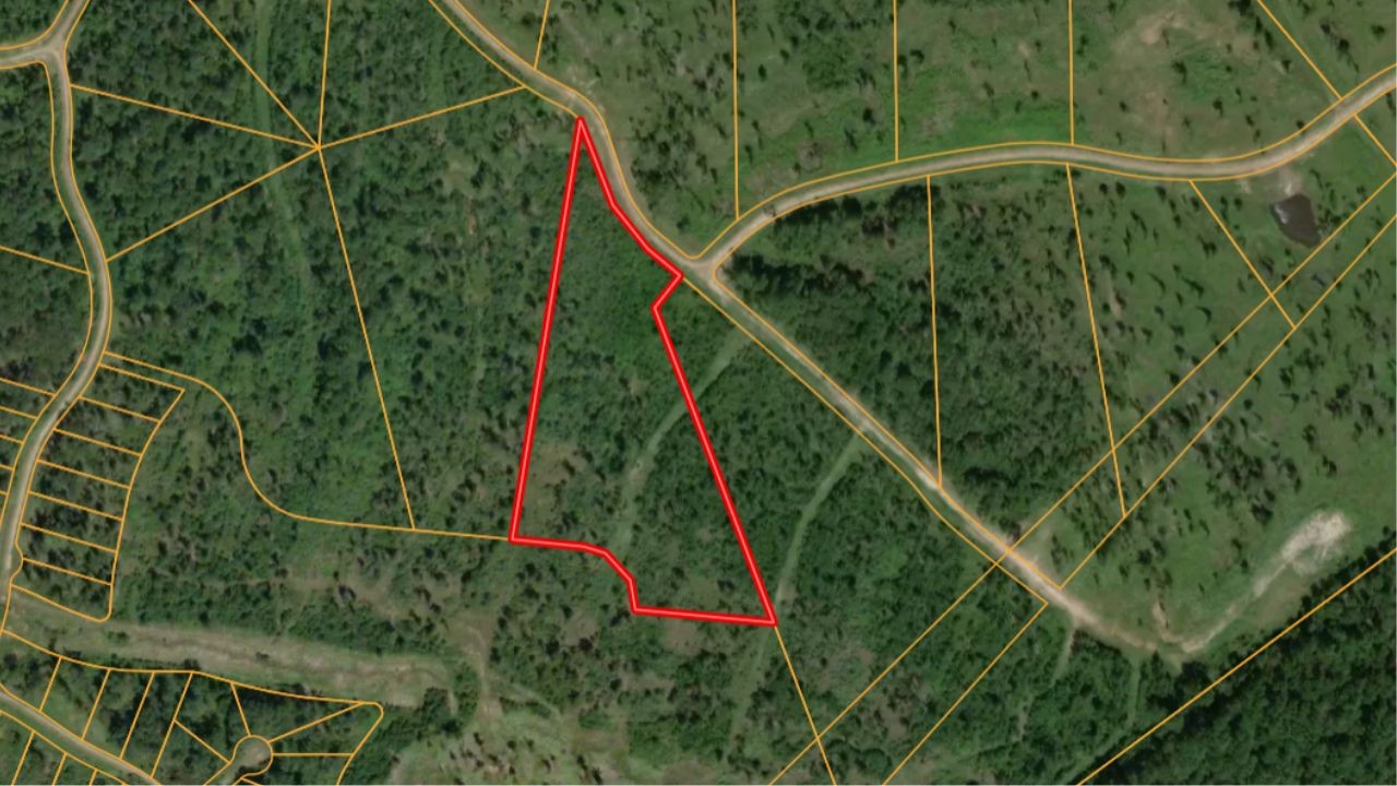0 Eagle Falls Blvd, Trinity, TX, 75862 | 85646530 | Realty Texas LLC