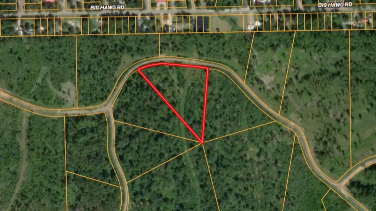 0000 Eagle Falls Boulevard, Trinity, TX, 75862 | 66086633 | Realty Texas LLC