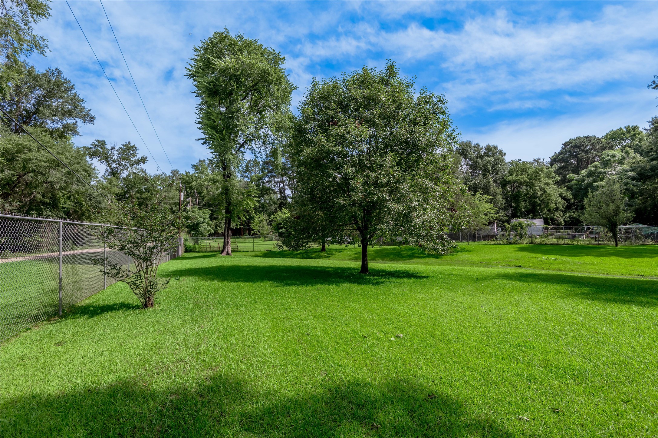405 Peacock Path, Trinity, TX, 75862 | 38740994 | Realty Texas LLC