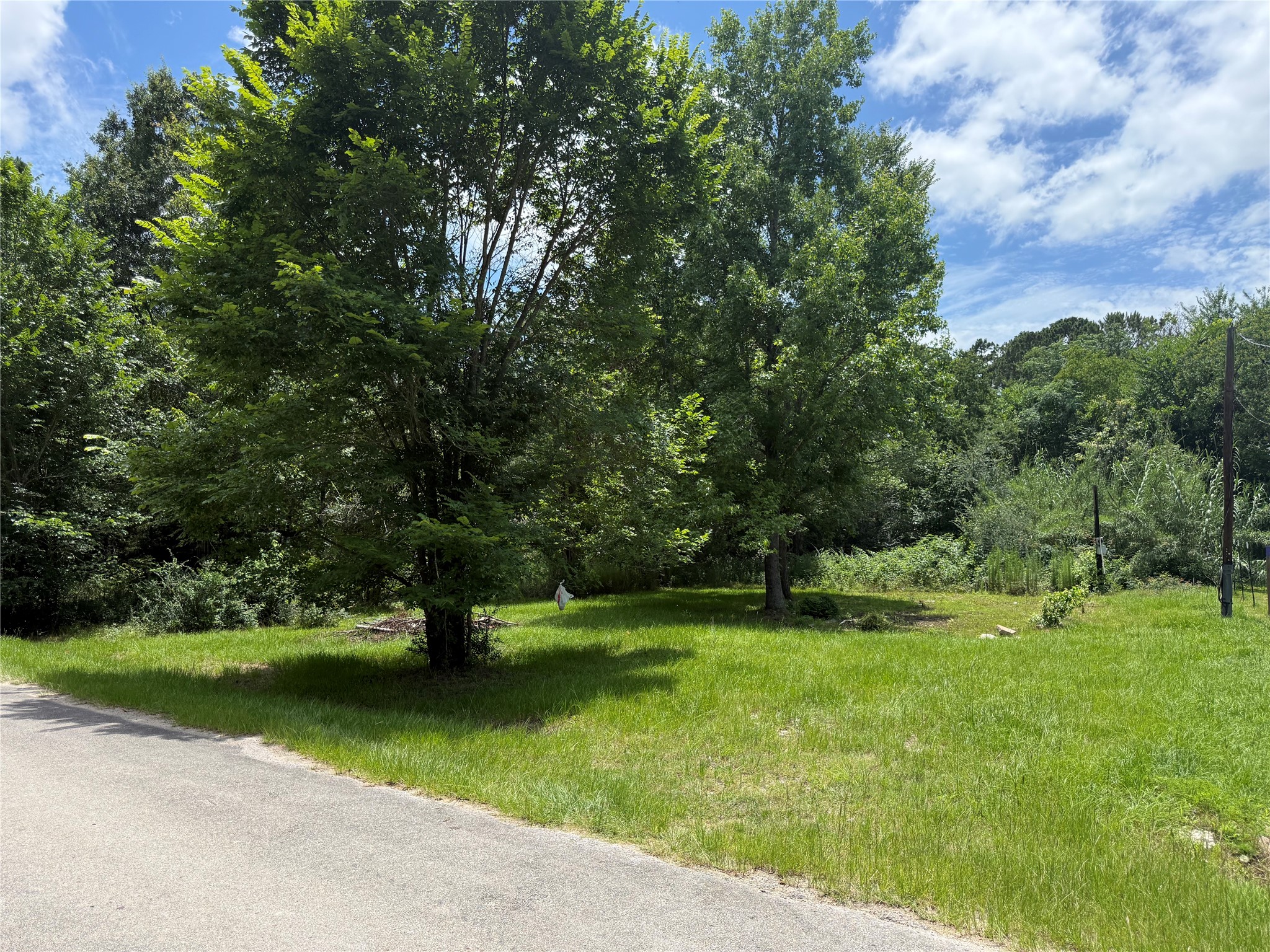 2016 Trinity Cove Drive, Trinity, TX, 75862 | 80280972 | Realty Texas LLC