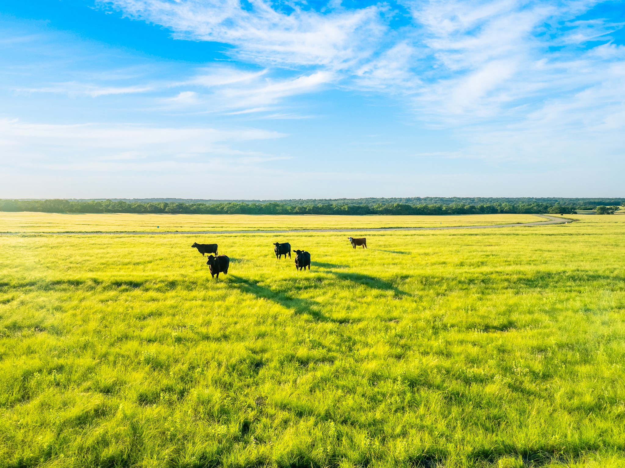 B Feild Ranch RD, Burnet, TX, 78611 | 5042867 | Realty Texas LLC