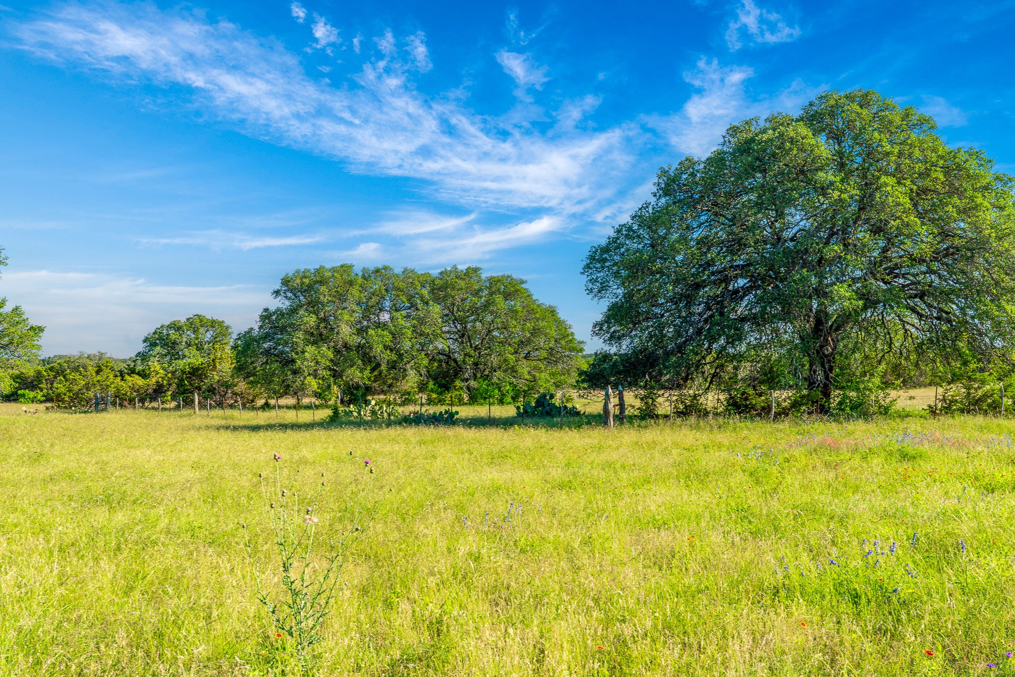B Feild Ranch RD, Burnet, TX, 78611 | 5042867 | Realty Texas LLC