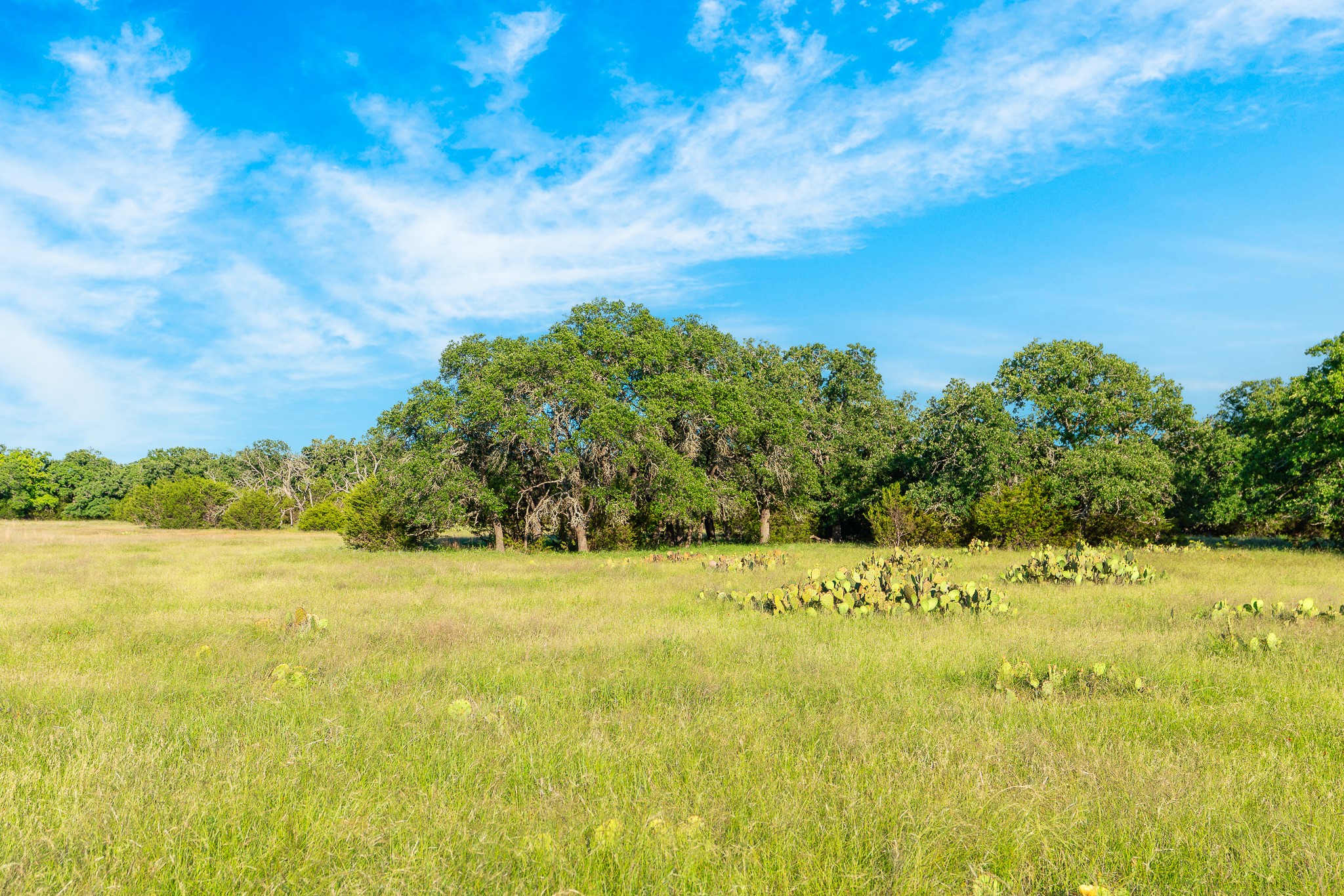 B Feild Ranch RD, Burnet, TX, 78611 | 5042867 | Realty Texas LLC