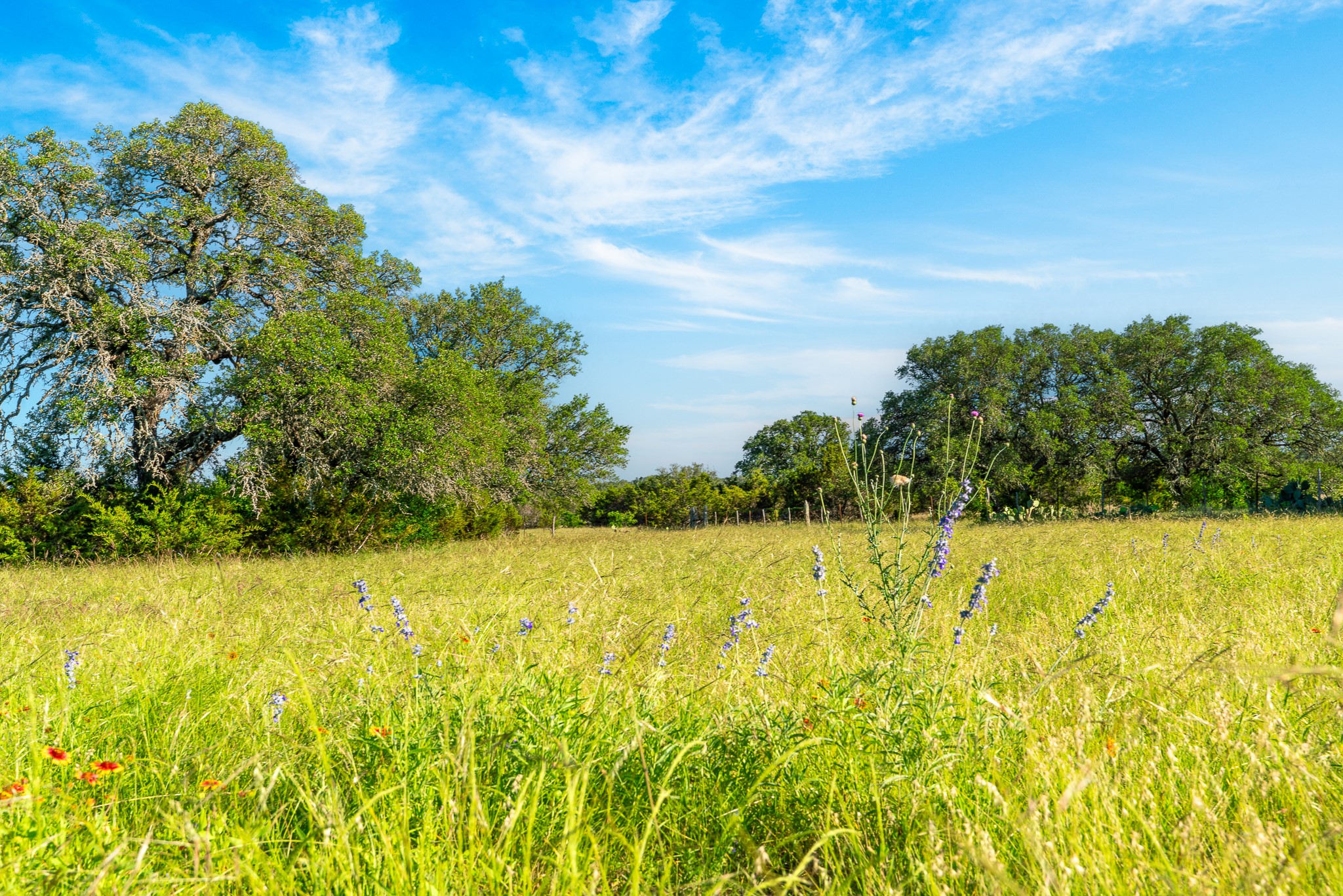 B Feild Ranch RD, Burnet, TX, 78611 | 5042867 | Realty Texas LLC