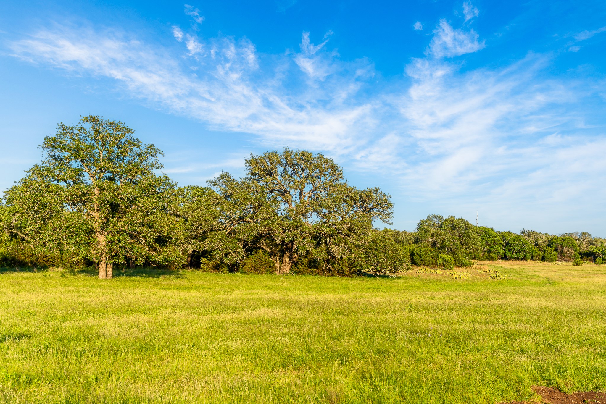 B Feild Ranch RD, Burnet, TX, 78611 | 5042867 | Realty Texas LLC