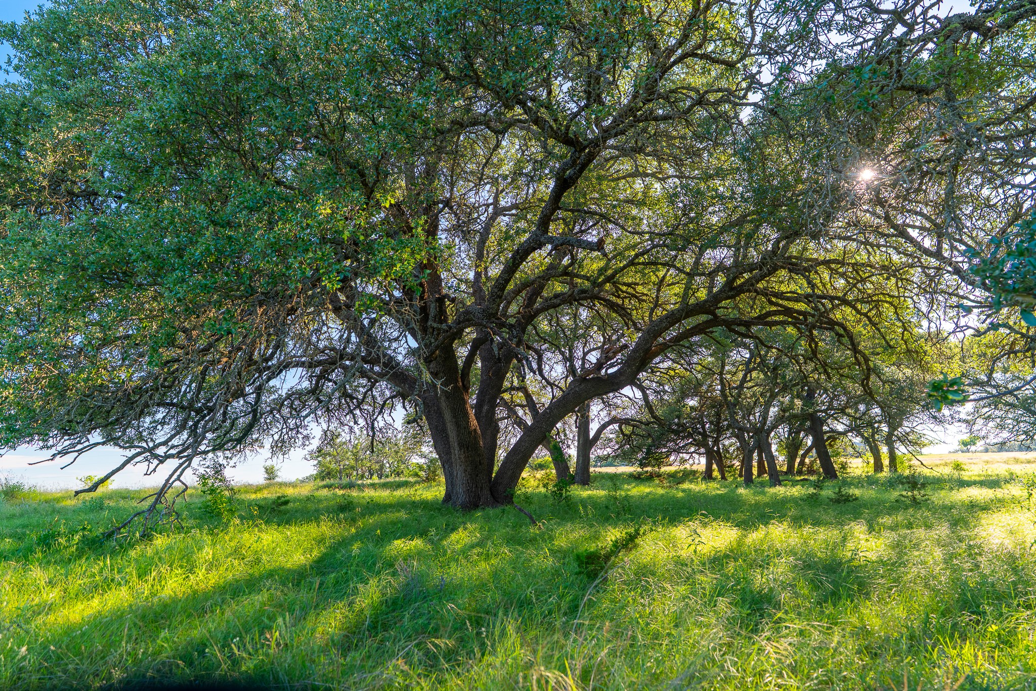 B Feild Ranch RD, Burnet, TX, 78611 | 5042867 | Realty Texas LLC