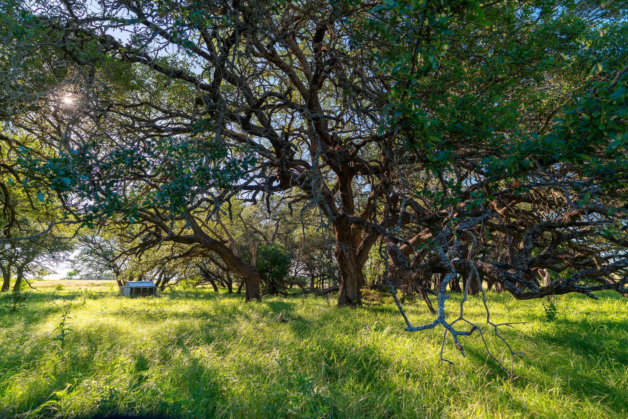 B Feild Ranch RD, Burnet, TX, 78611 | 5042867 | Realty Texas LLC