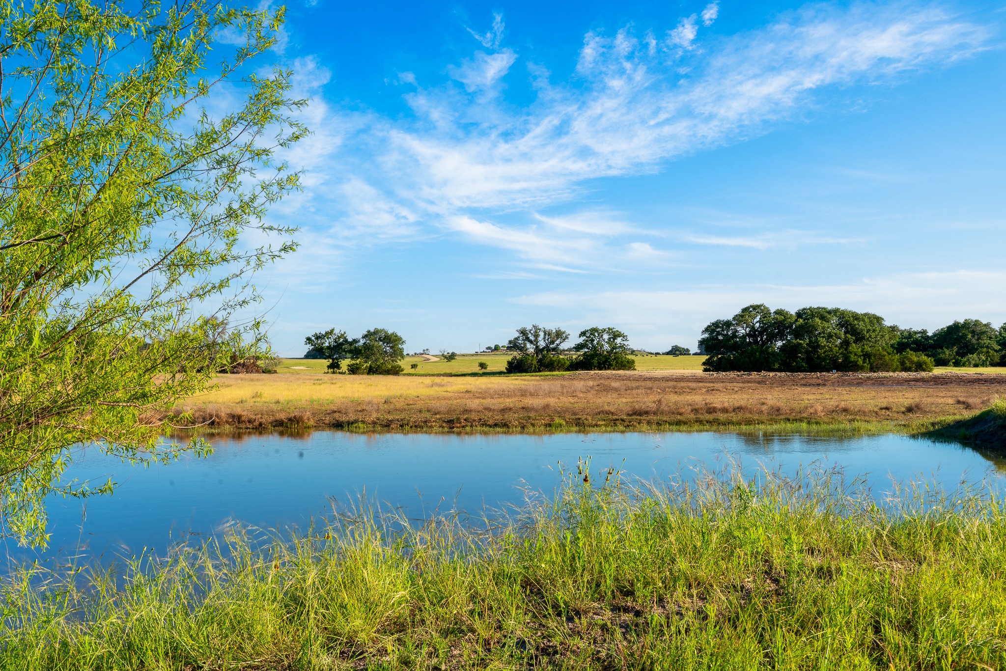 B Feild Ranch RD, Burnet, TX, 78611 | 5042867 | Realty Texas LLC