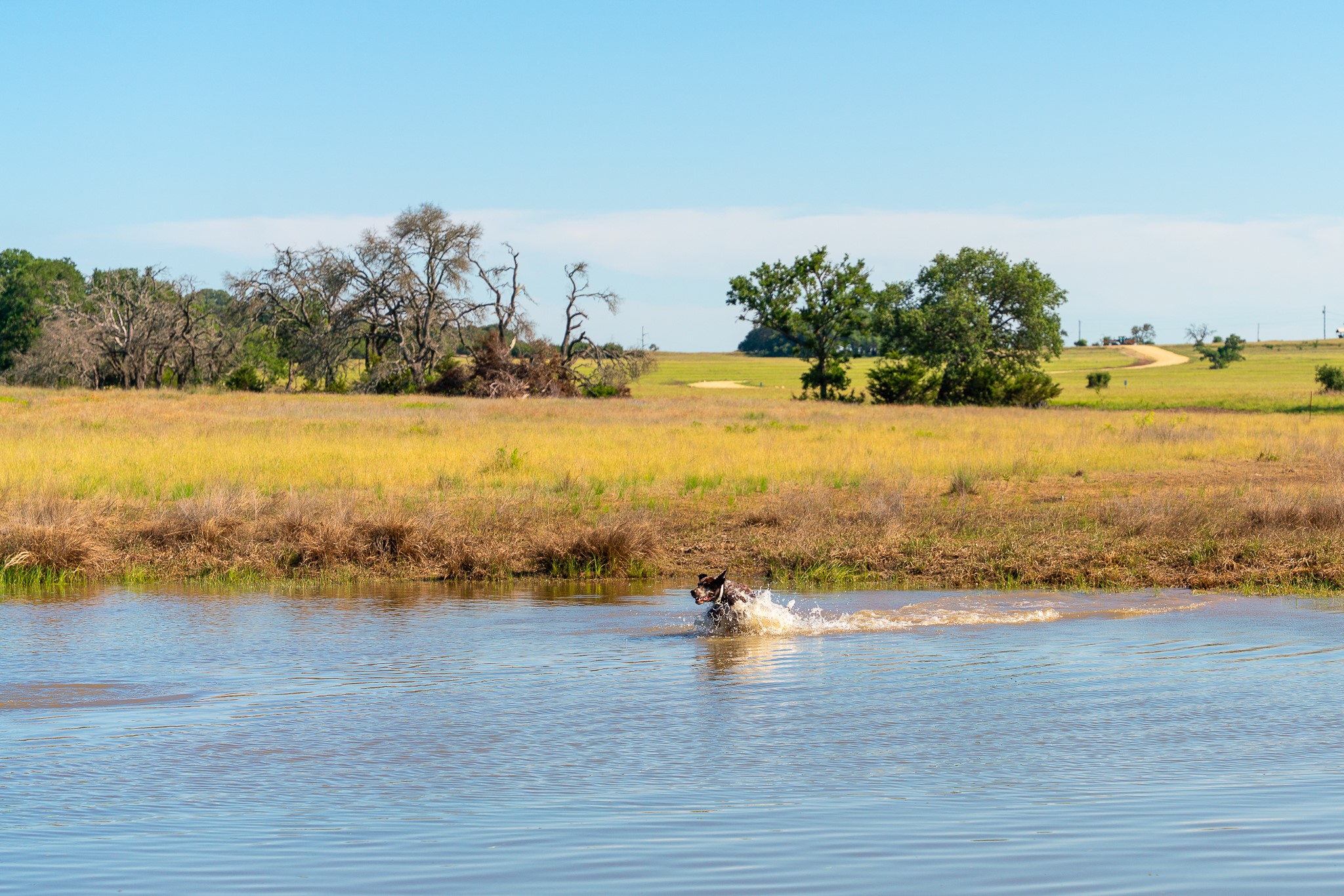 B Feild Ranch RD, Burnet, TX, 78611 | 5042867 | Realty Texas LLC