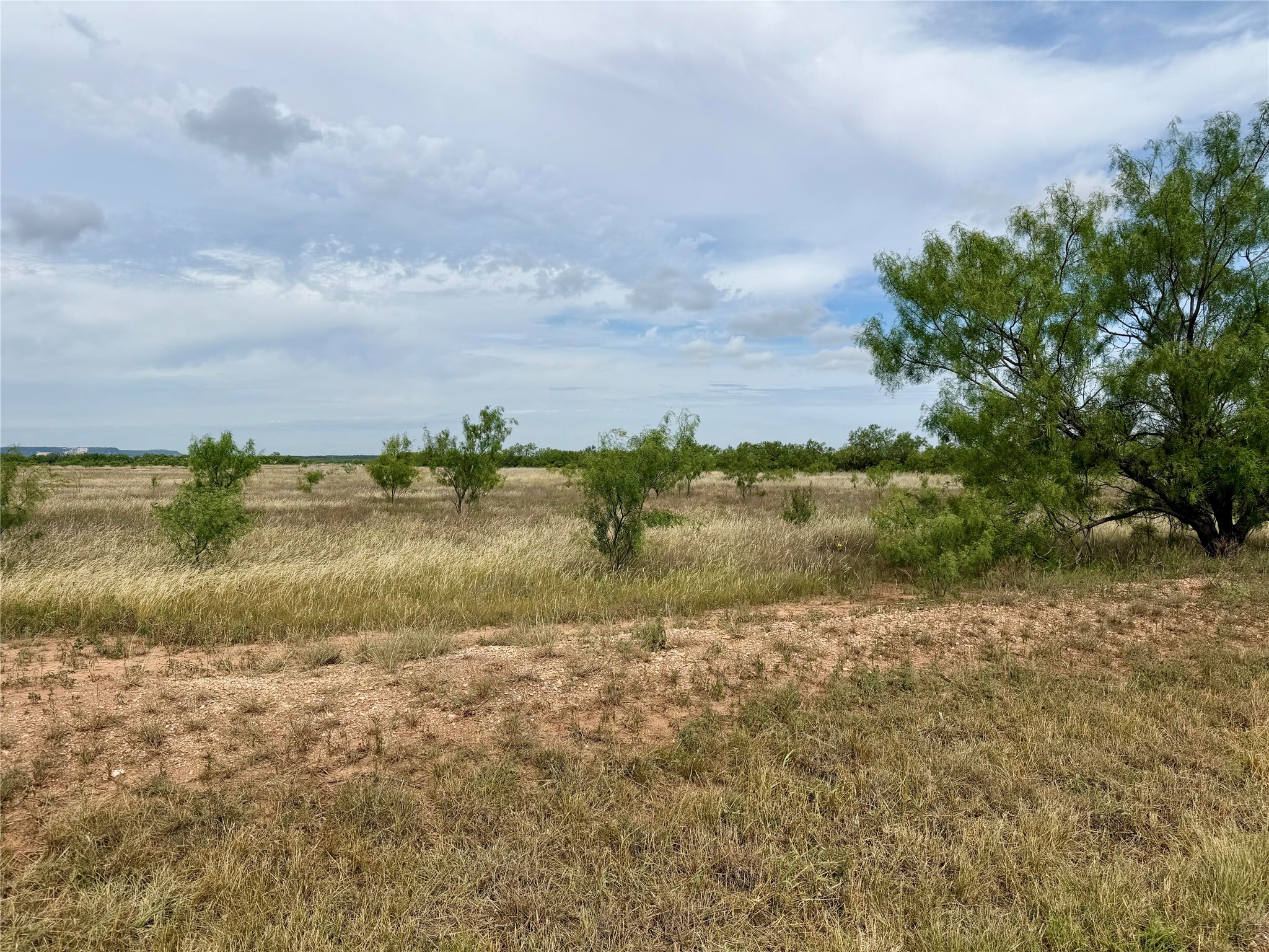 TBD CR 319, Abilene, TX, 79606 | 21290784 | Realty Texas LLC