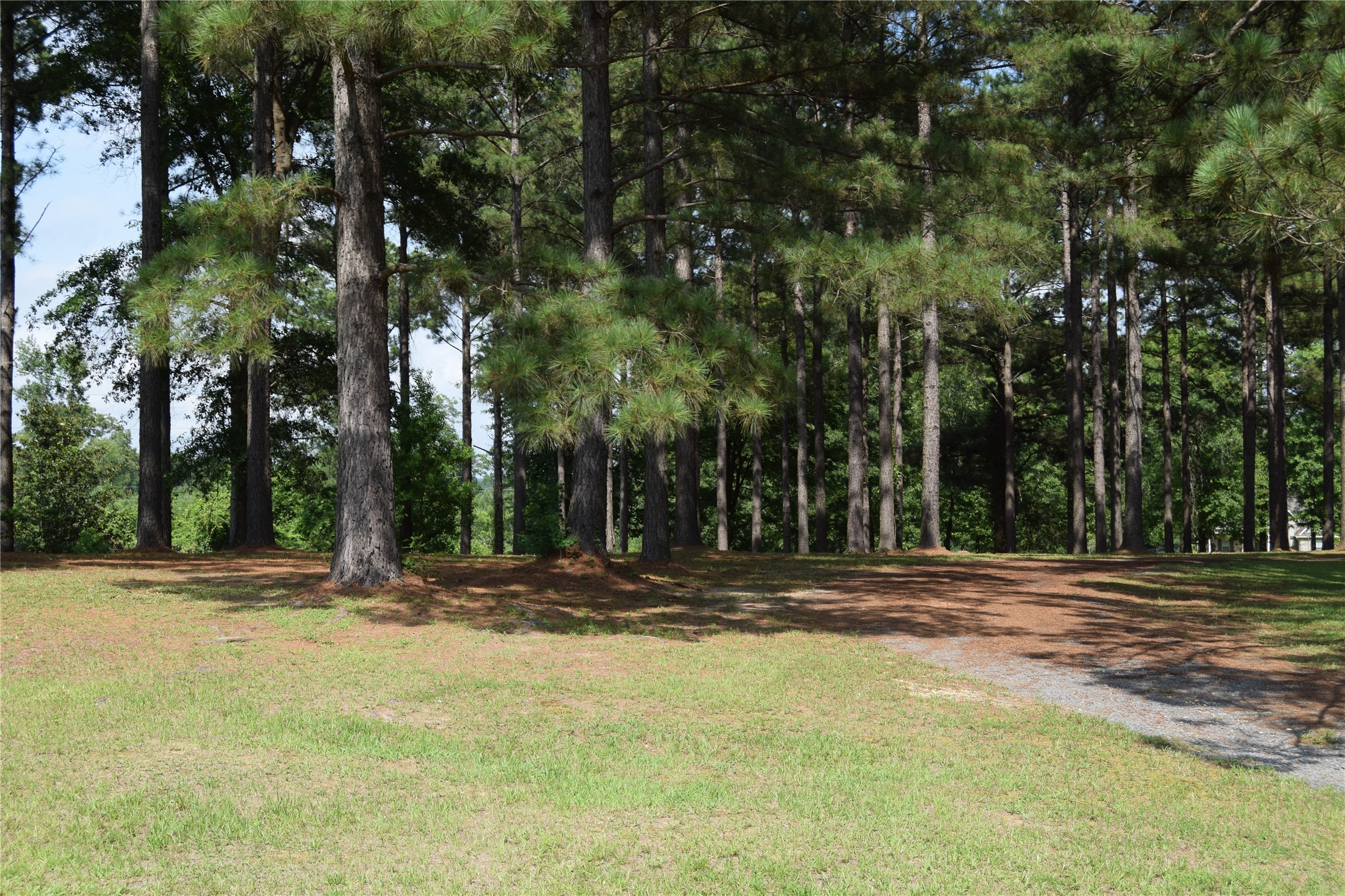 776 Methodist Camp Road, Minden, LA, 71055 | 21311069 | Realty Texas LLC