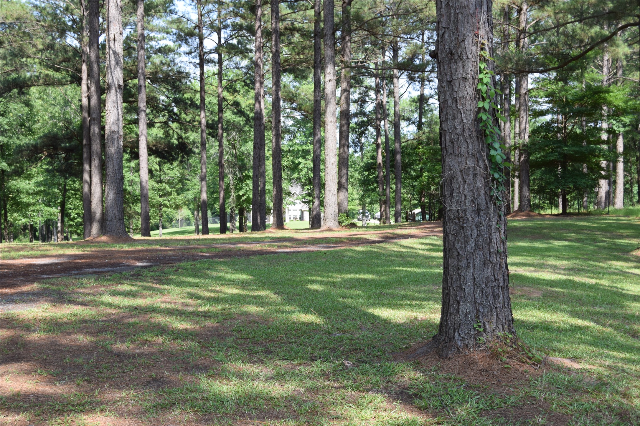 776 Methodist Camp Road, Minden, LA, 71055 | 21311069 | Realty Texas LLC