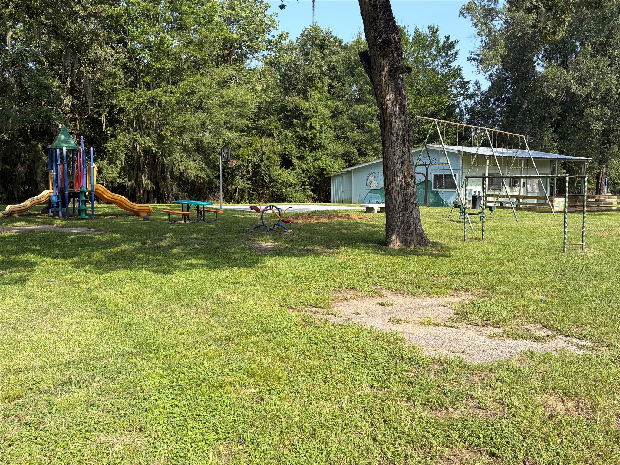 141 Mud Cat Drive, Trinity, TX, 75862 | 12752204 | Realty Texas LLC
