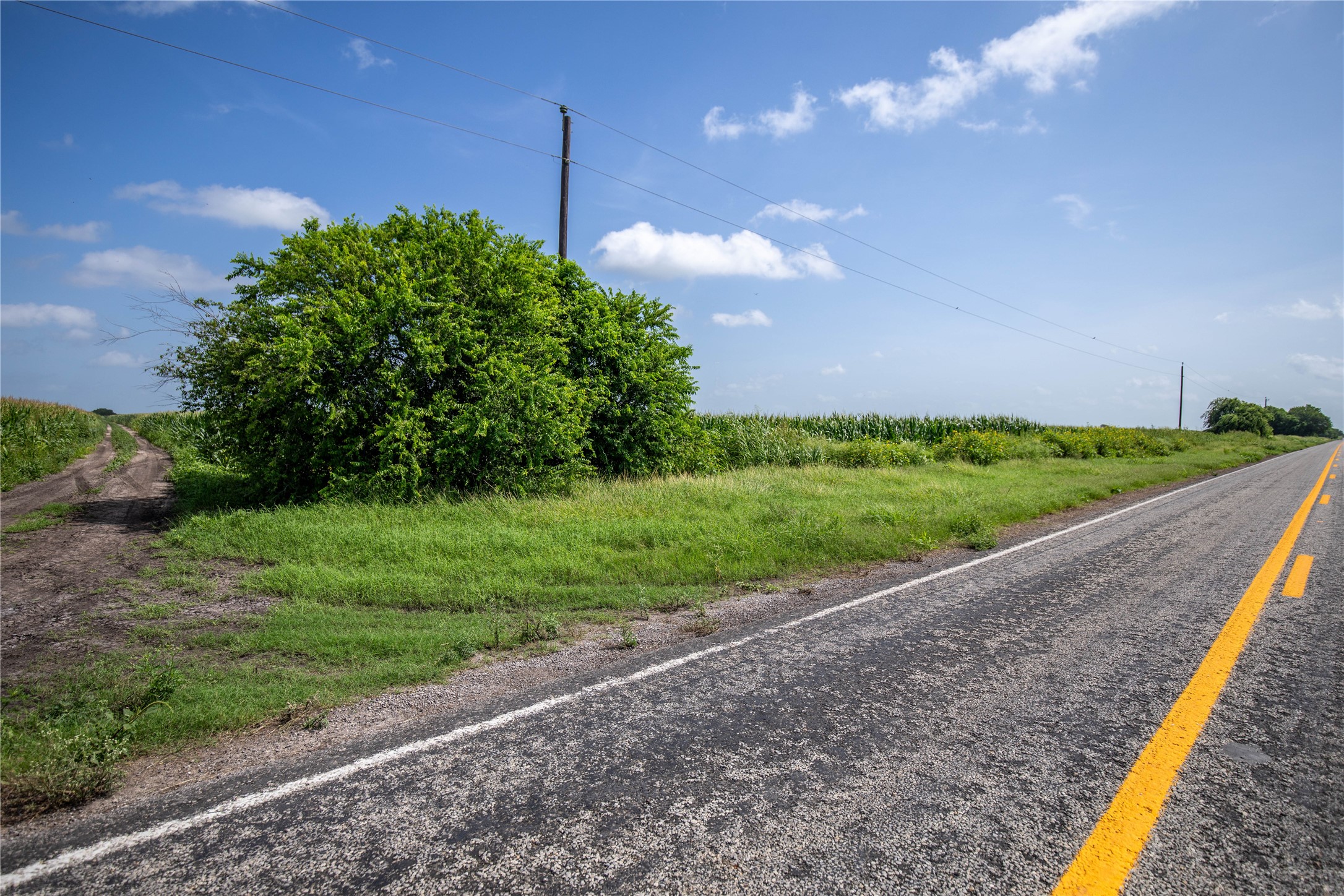 TBD FM 888, Mathis, TX, 78368 | 47455495 | Realty Texas LLC
