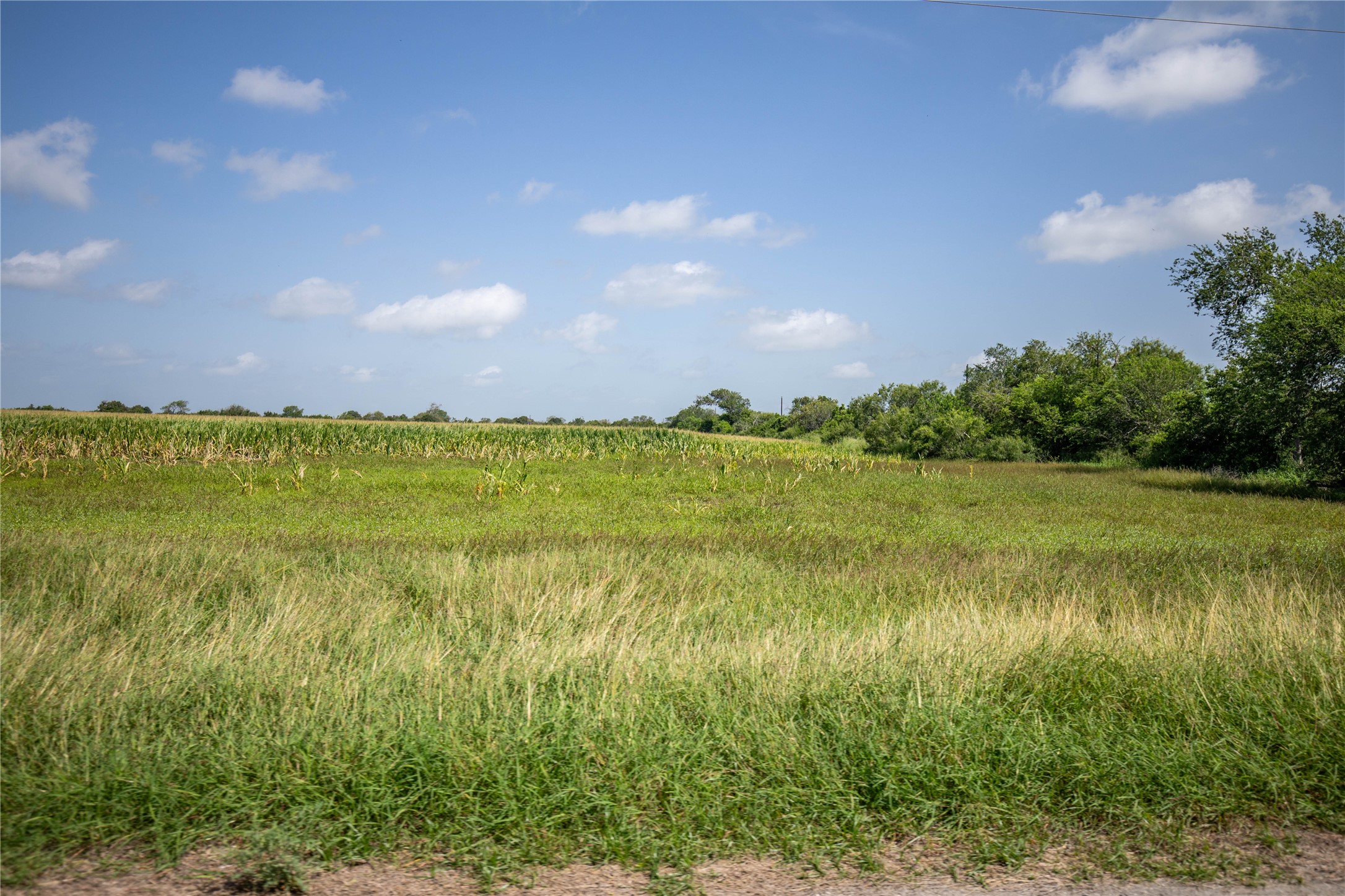 TBD FM 888, Mathis, TX, 78368 | 47455495 | Realty Texas LLC