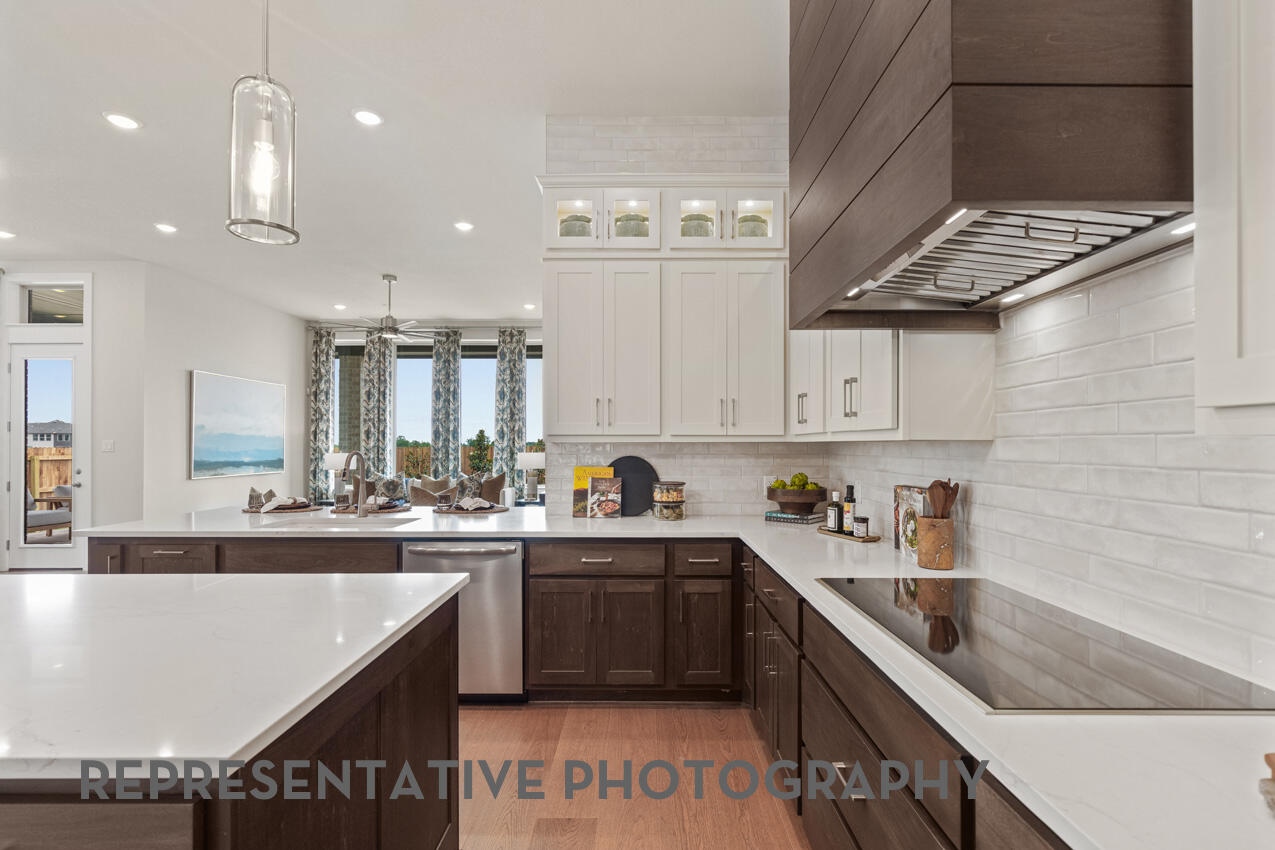 207 Jackson River LOOP, Kyle, TX, 78640 | 5016939 | Realty Texas LLC