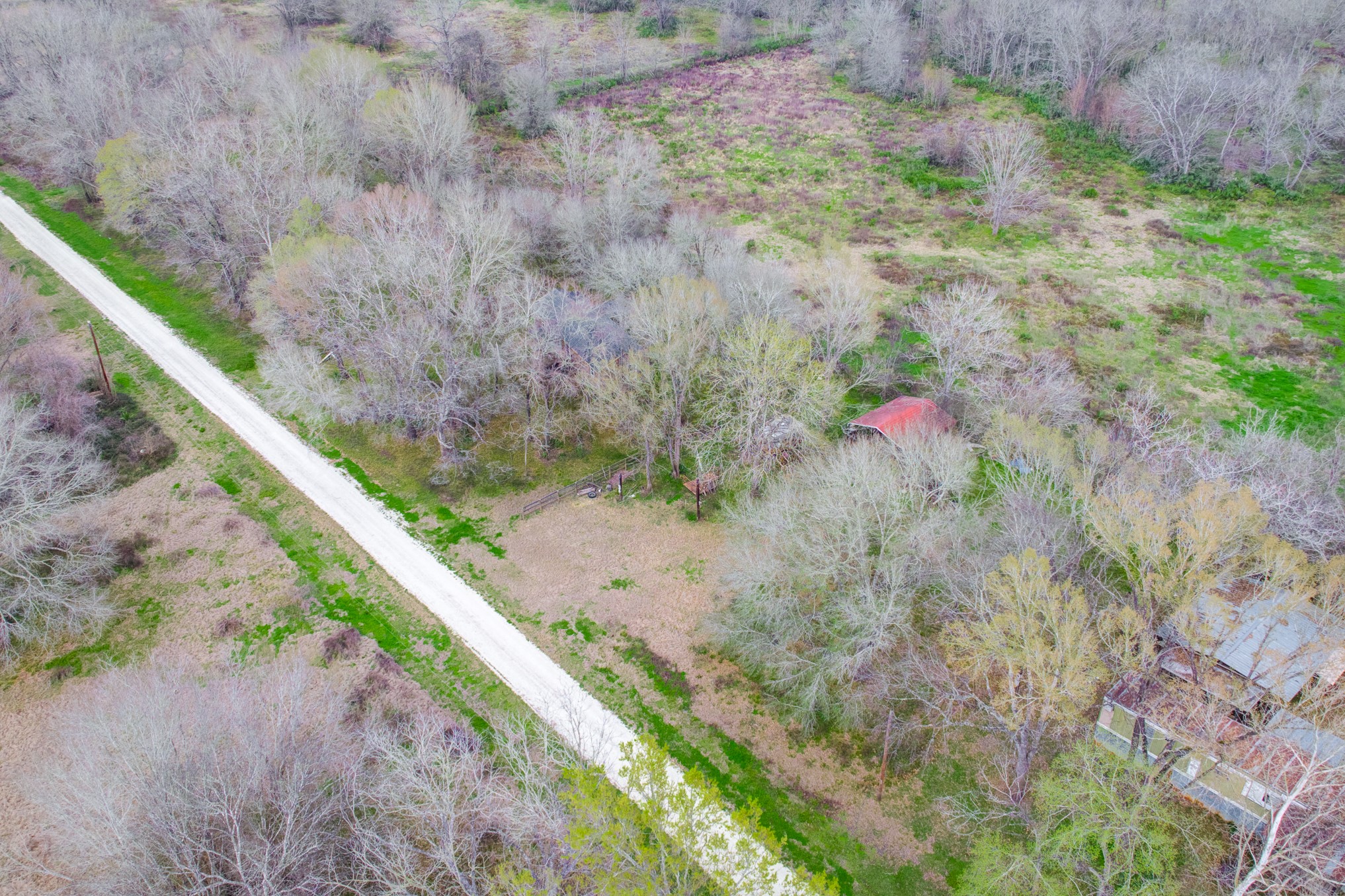 95 Powell Road, Trinity, TX, 75862 | 10698548 | Realty Texas LLC