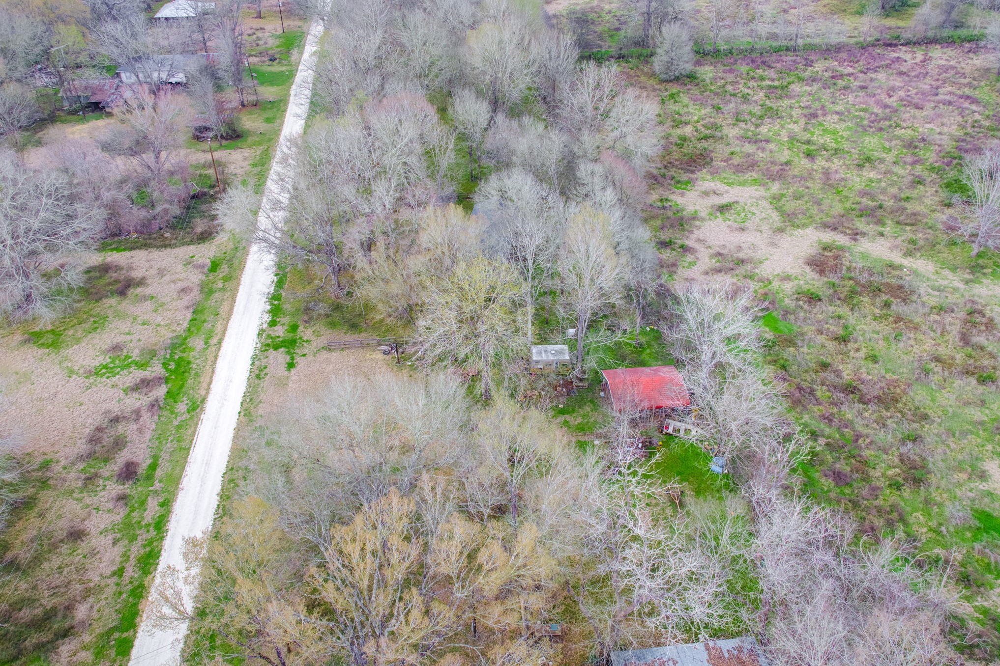 95 Powell Road, Trinity, TX, 75862 | 10698548 | Realty Texas LLC