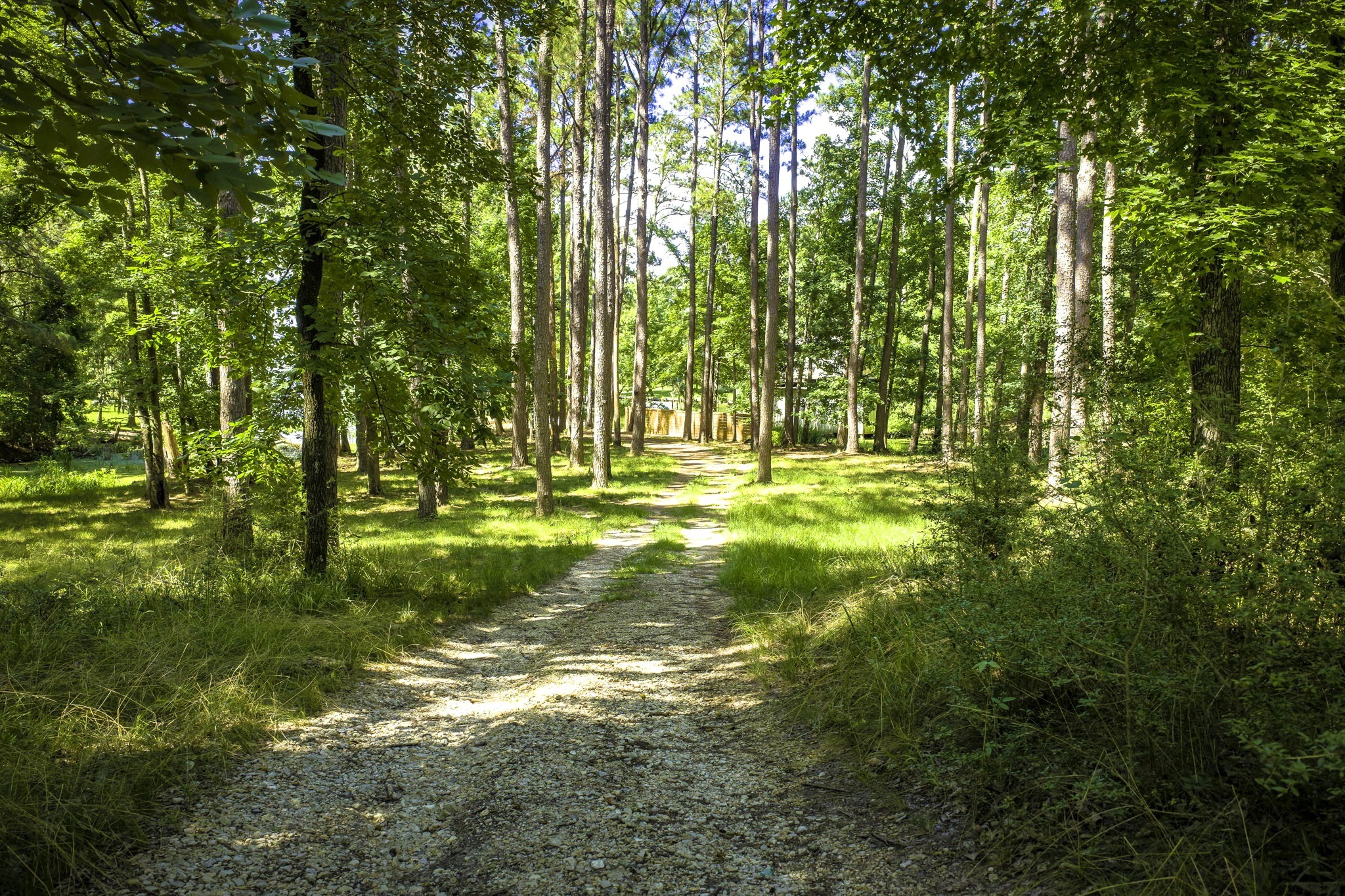 TBD Pine Circle, Trinity, TX, 75862 | 49470862 | Realty Texas LLC