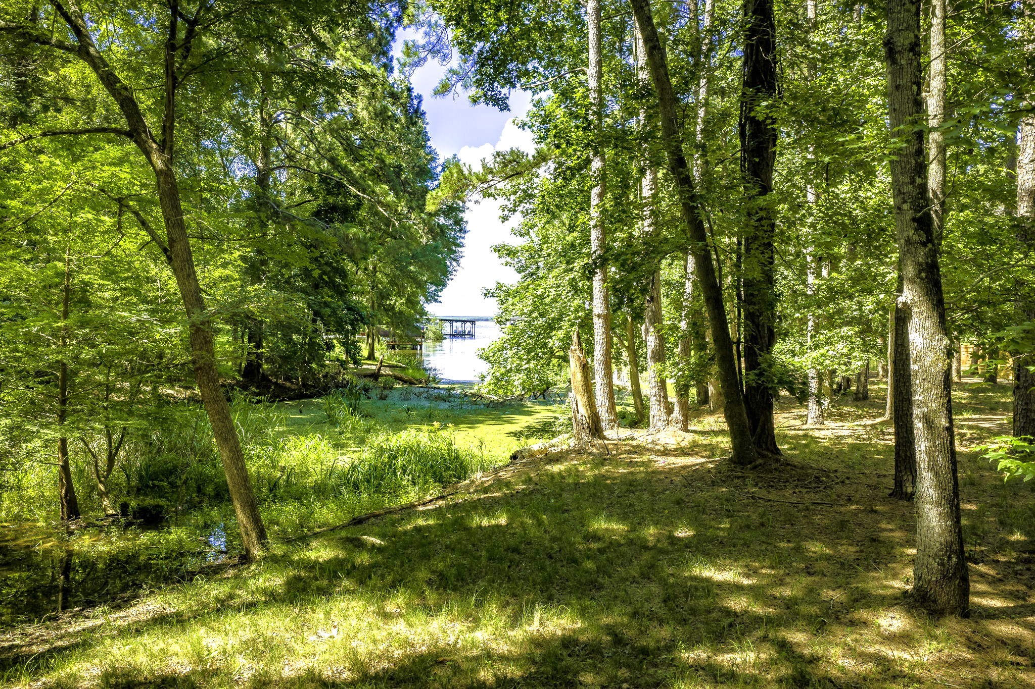 TBD Pine Circle, Trinity, TX, 75862 | 49470862 | Realty Texas LLC