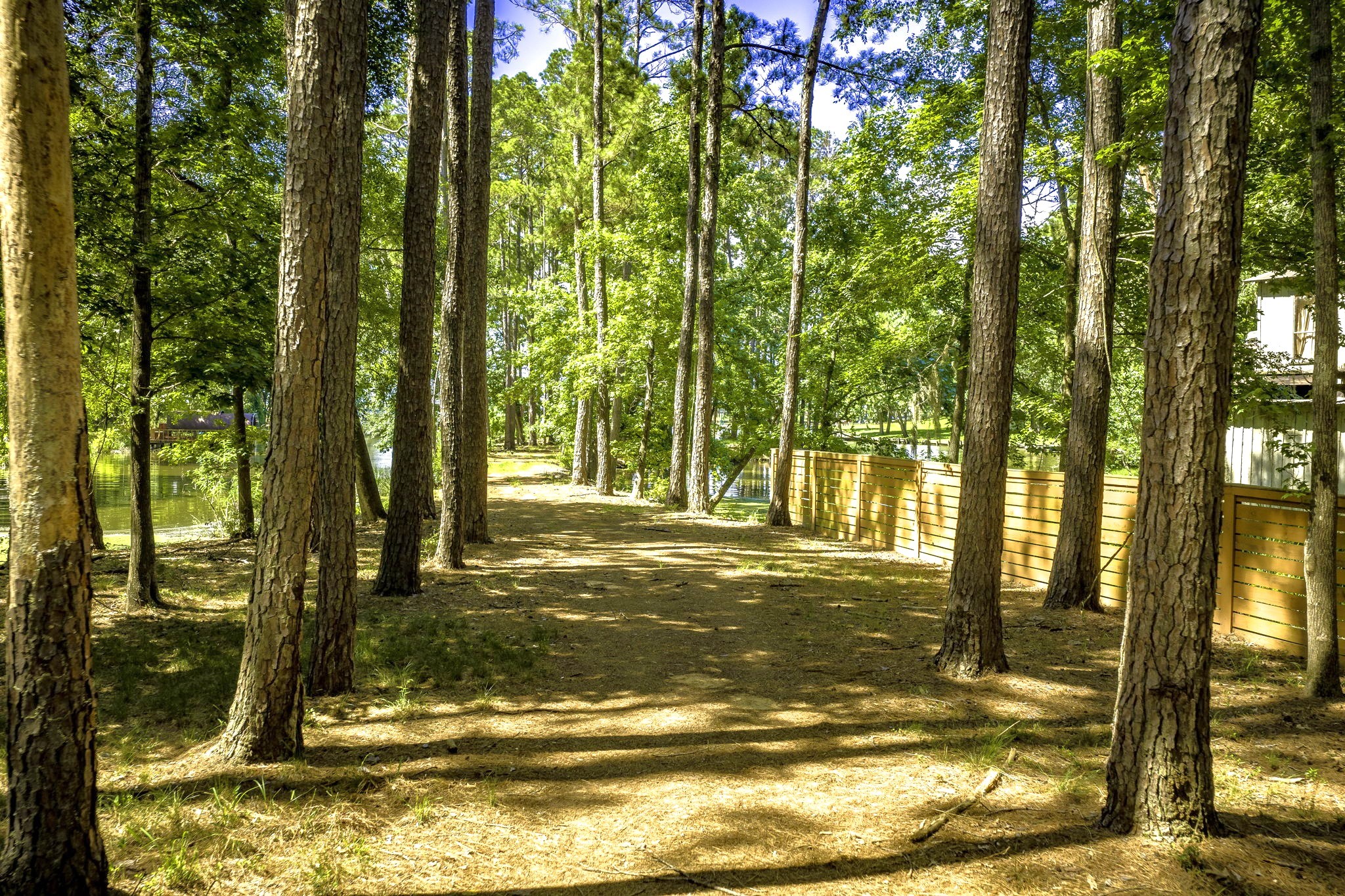 TBD Pine Circle, Trinity, TX, 75862 | 49470862 | Realty Texas LLC