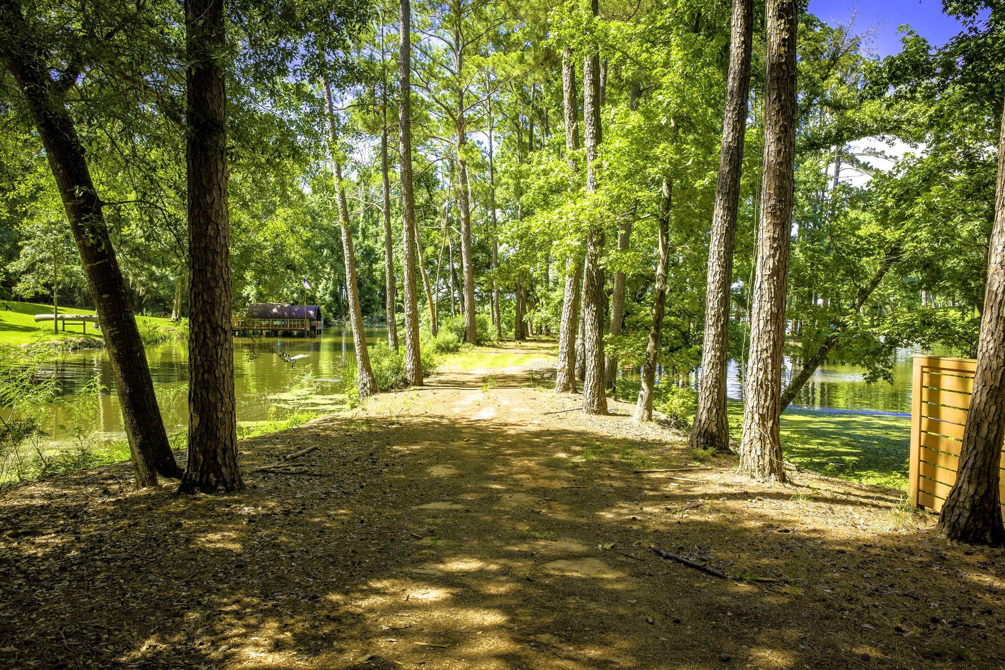TBD Pine Circle, Trinity, TX, 75862 | 49470862 | Realty Texas LLC