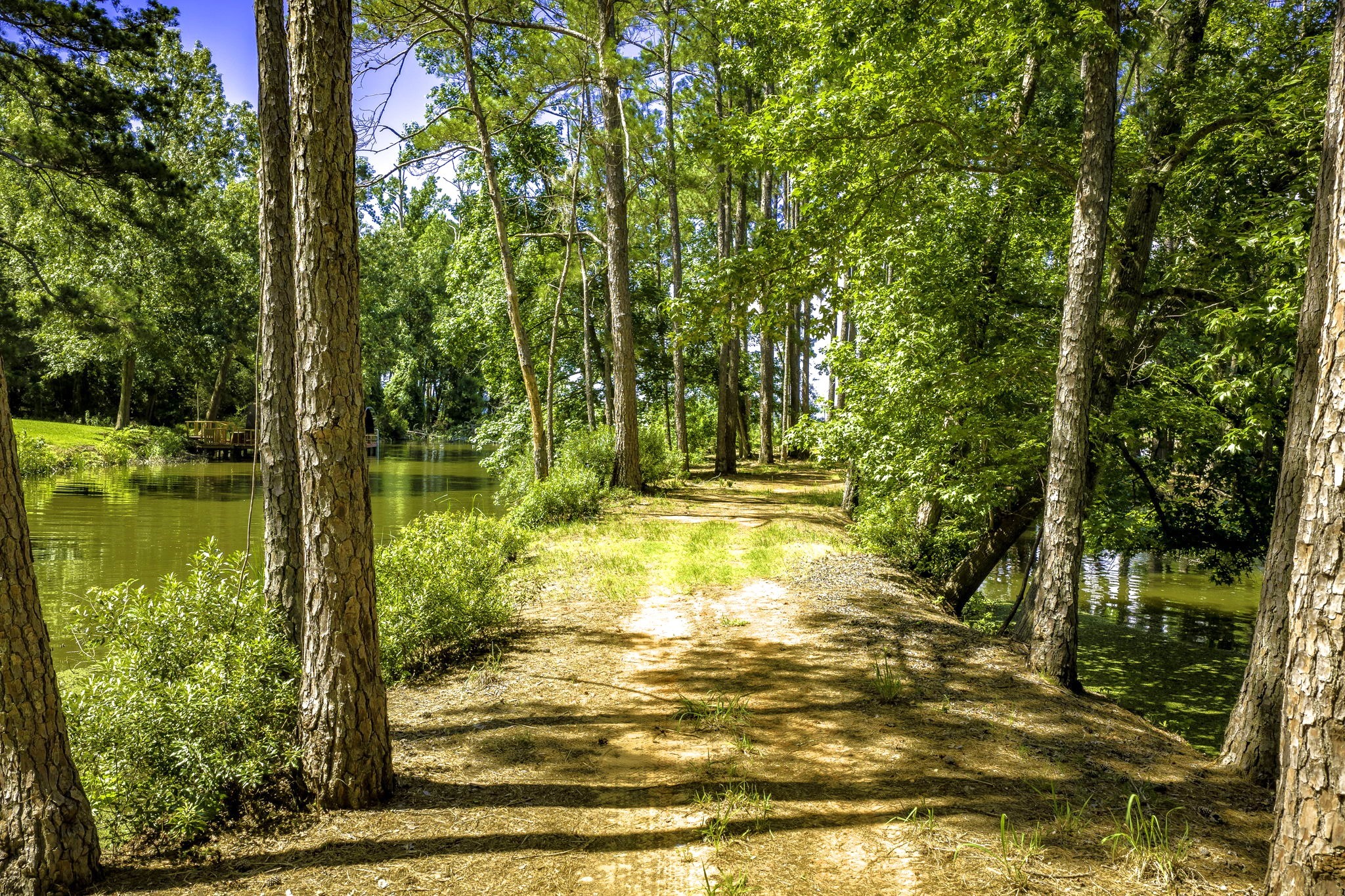 TBD Pine Circle, Trinity, TX, 75862 | 49470862 | Realty Texas LLC
