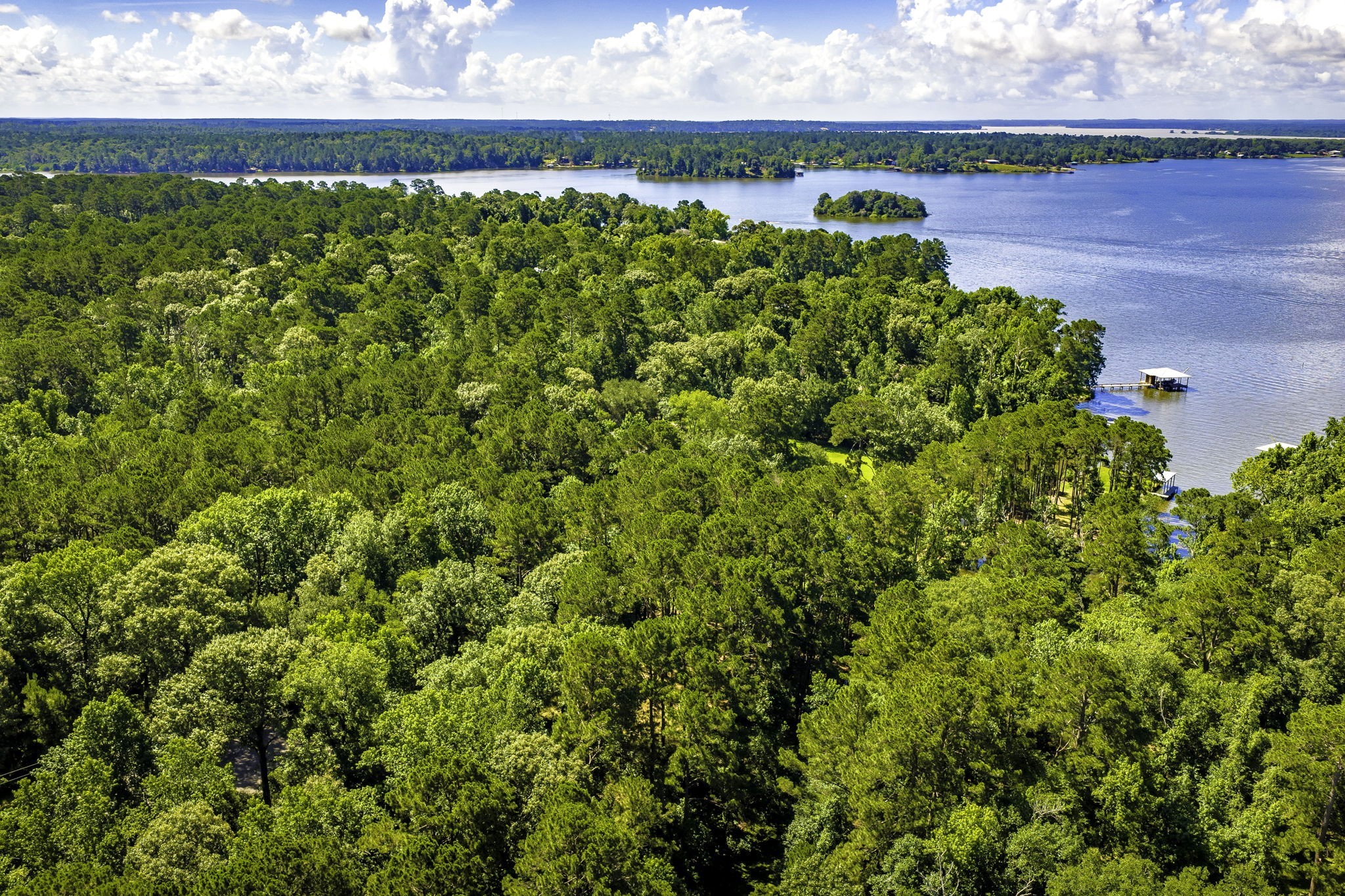 TBD Pine Circle, Trinity, TX, 75862 | 49470862 | Realty Texas LLC