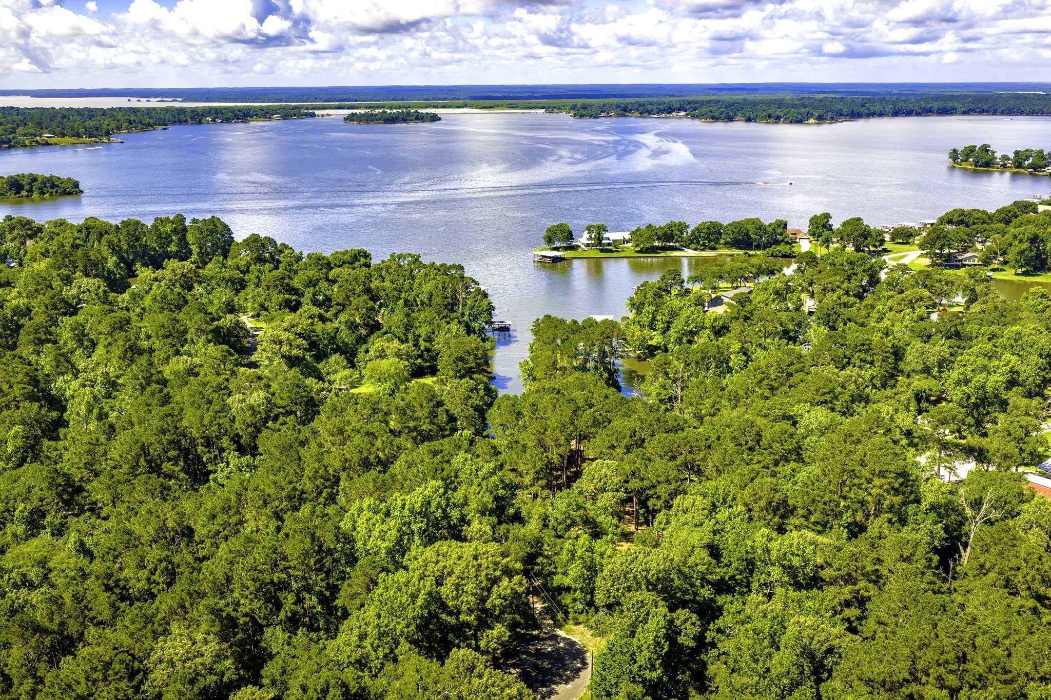 TBD Pine Circle, Trinity, TX, 75862 | 49470862 | Realty Texas LLC