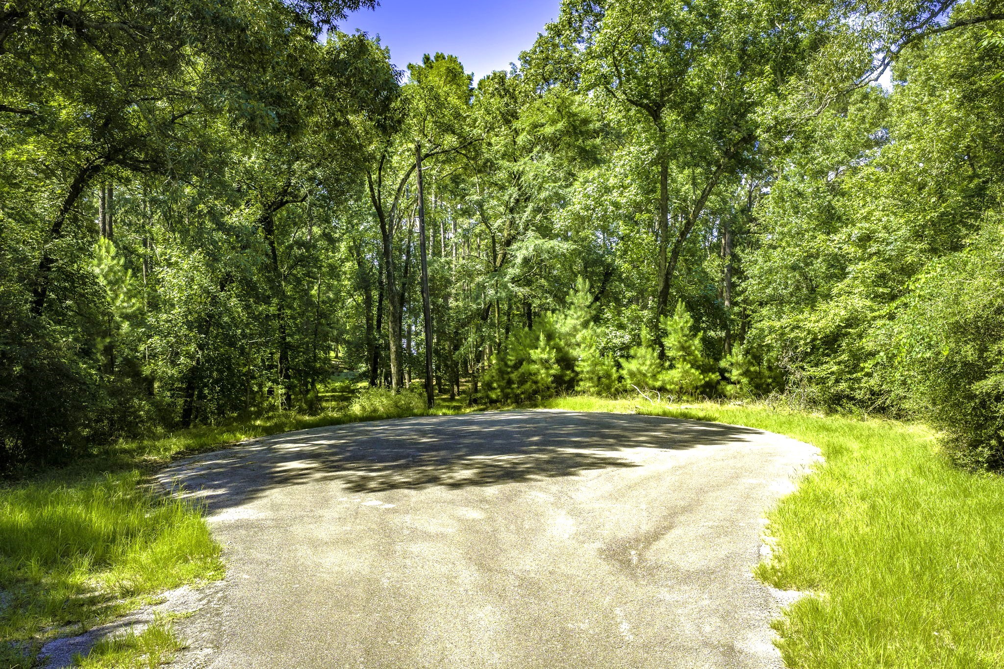TBD Pine Circle, Trinity, TX, 75862 | 49470862 | Realty Texas LLC