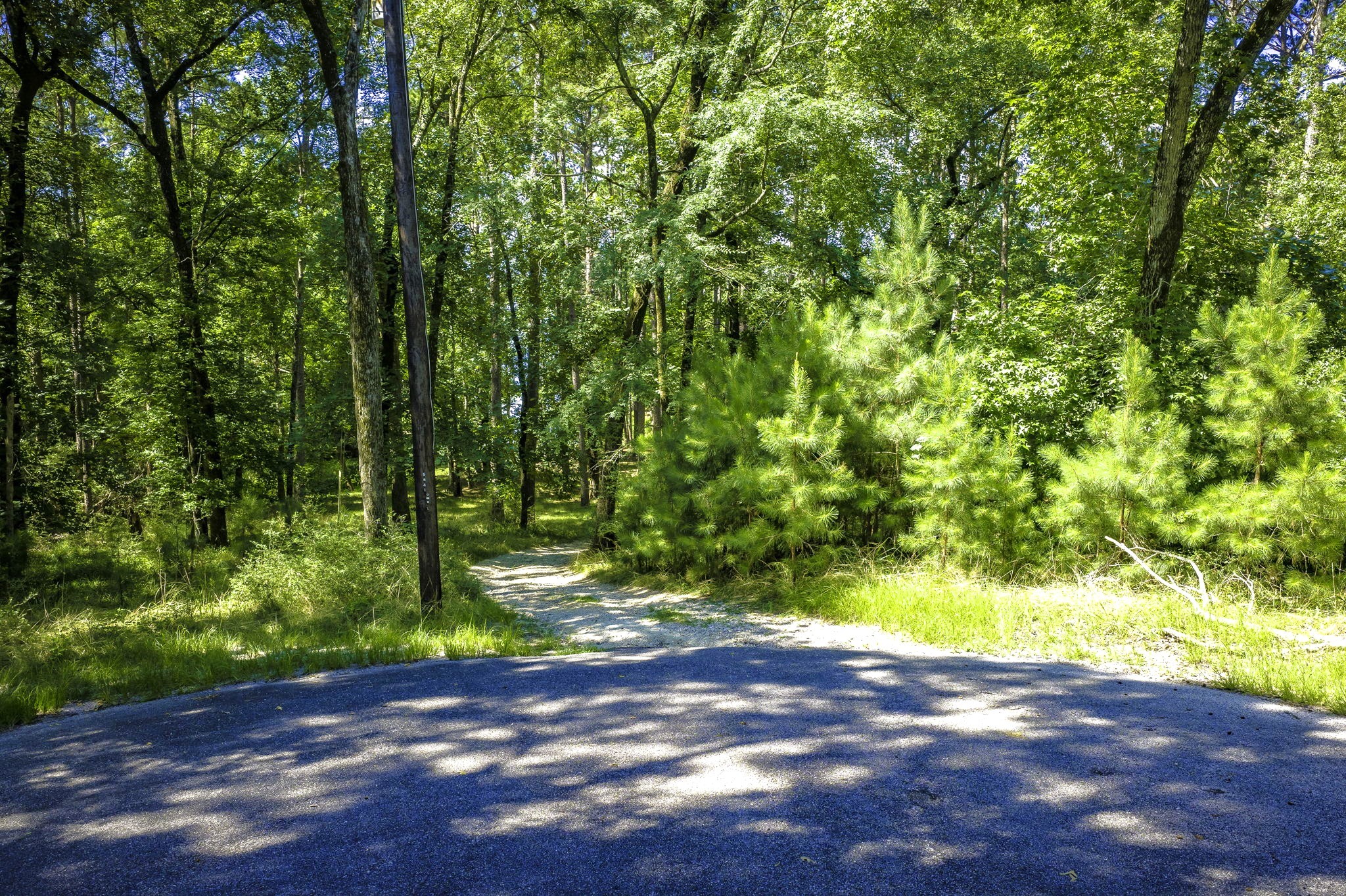 TBD Pine Circle, Trinity, TX, 75862 | 49470862 | Realty Texas LLC