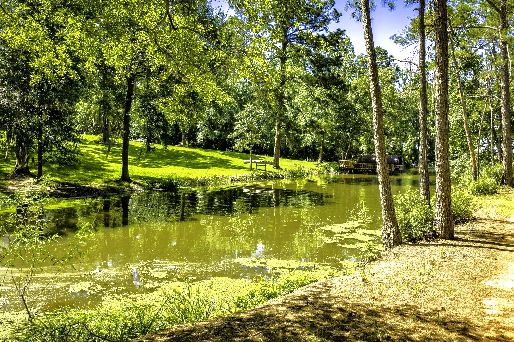 TBD Pine Circle, Trinity, TX, 75862 | 49470862 | Realty Texas LLC