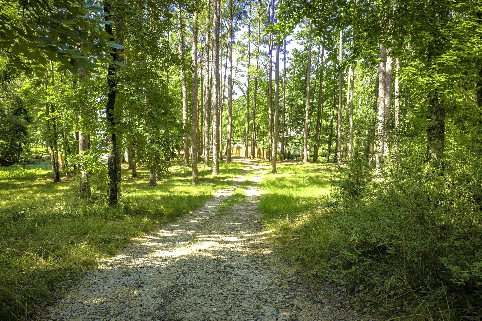 TBD Pine Circle, Trinity, TX, 75862 | 49470862 | Realty Texas LLC