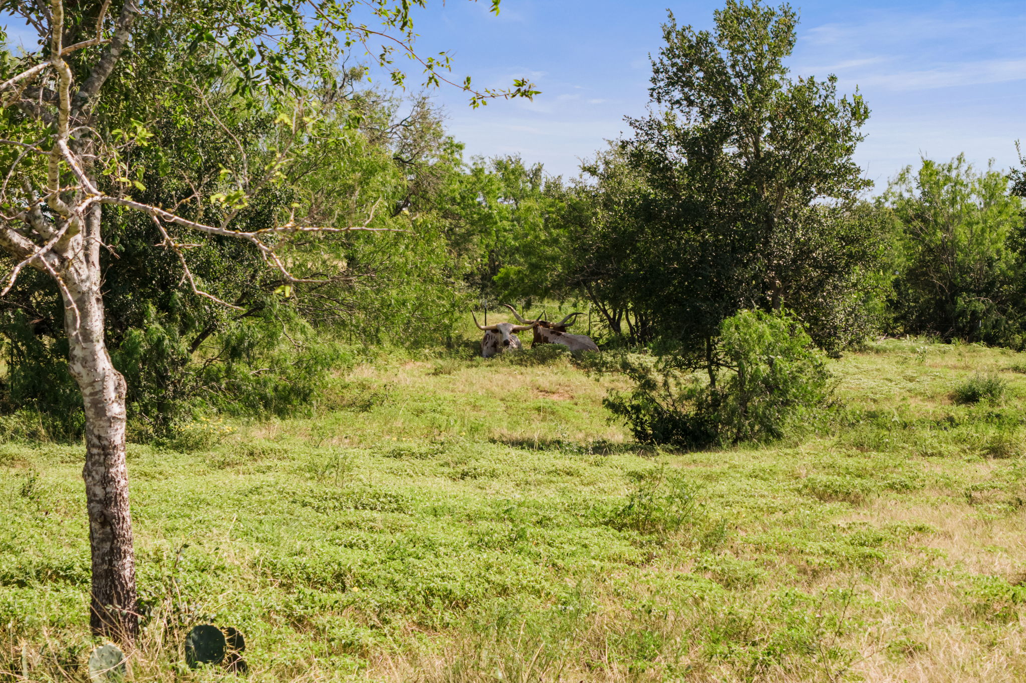 625 Callihan RD, Luling, TX, 78648 | 4833101 | Realty Texas LLC
