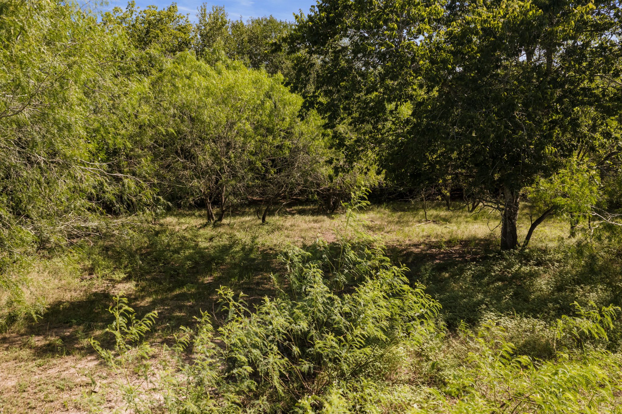 625 Callihan RD, Luling, TX, 78648 | 4833101 | Realty Texas LLC