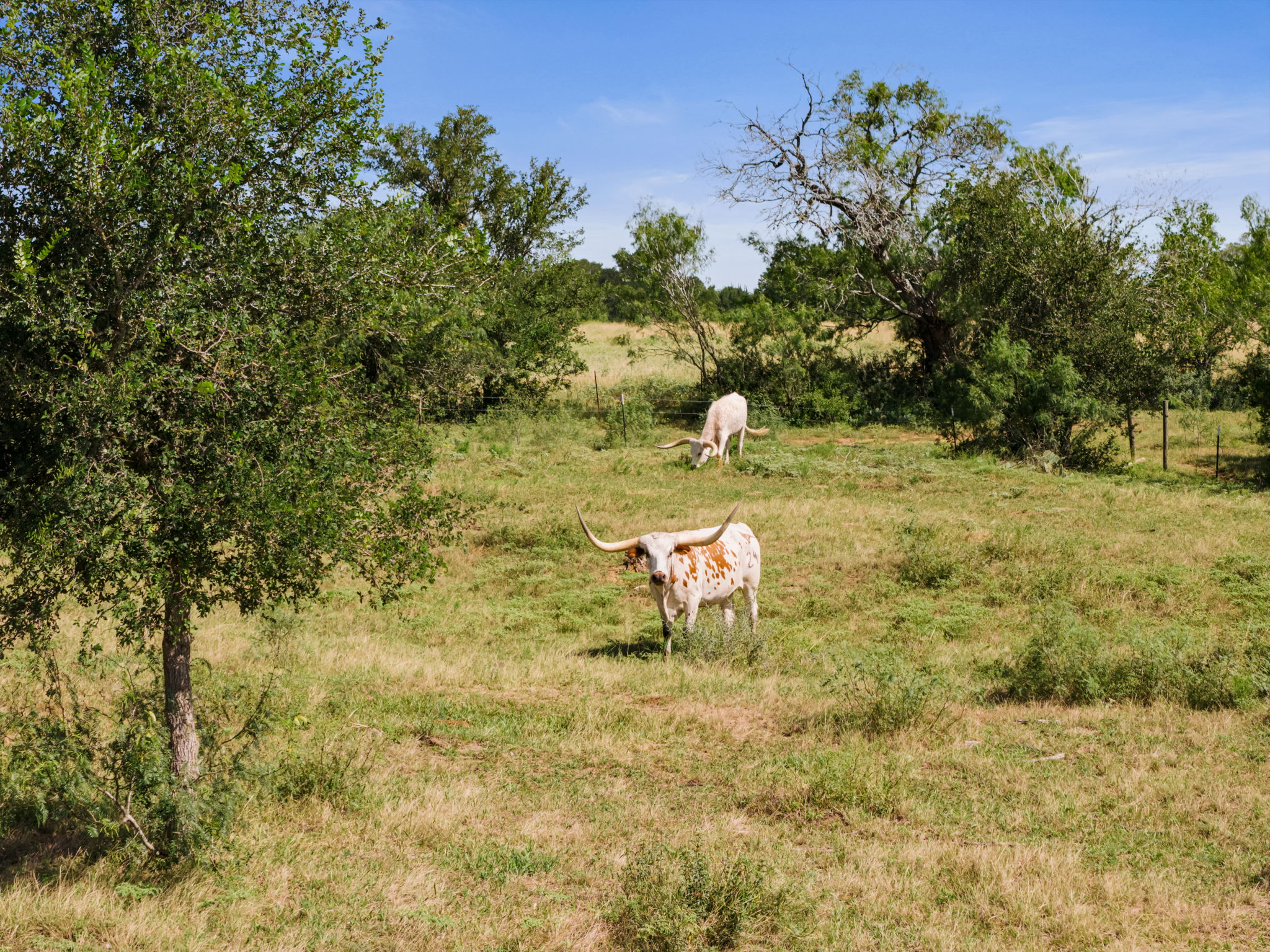 625 Callihan RD, Luling, TX, 78648 | 4833101 | Realty Texas LLC