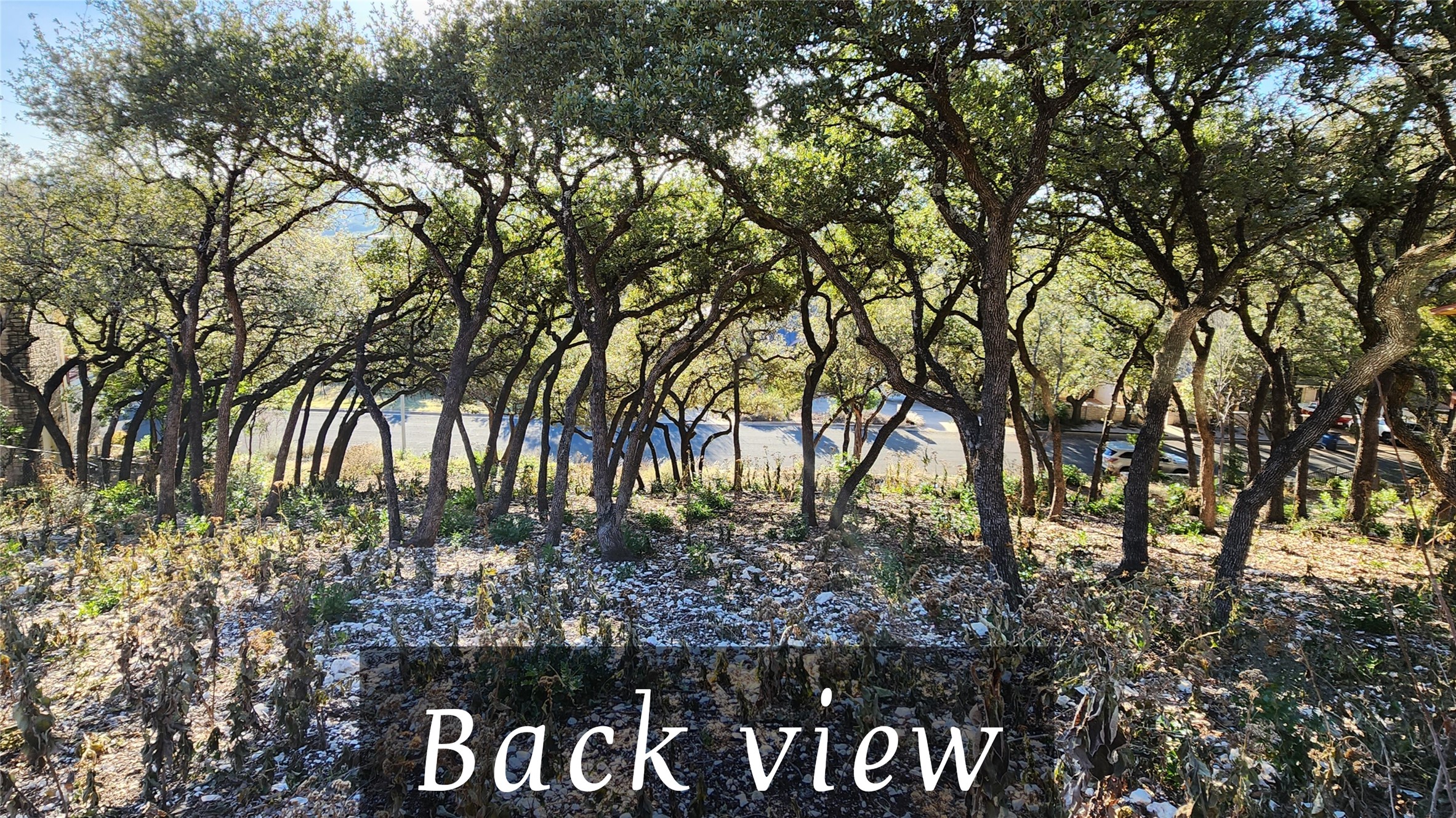 4100 Firstview Drive, Austin, TX, 78731 | 69721237 | Realty Texas LLC