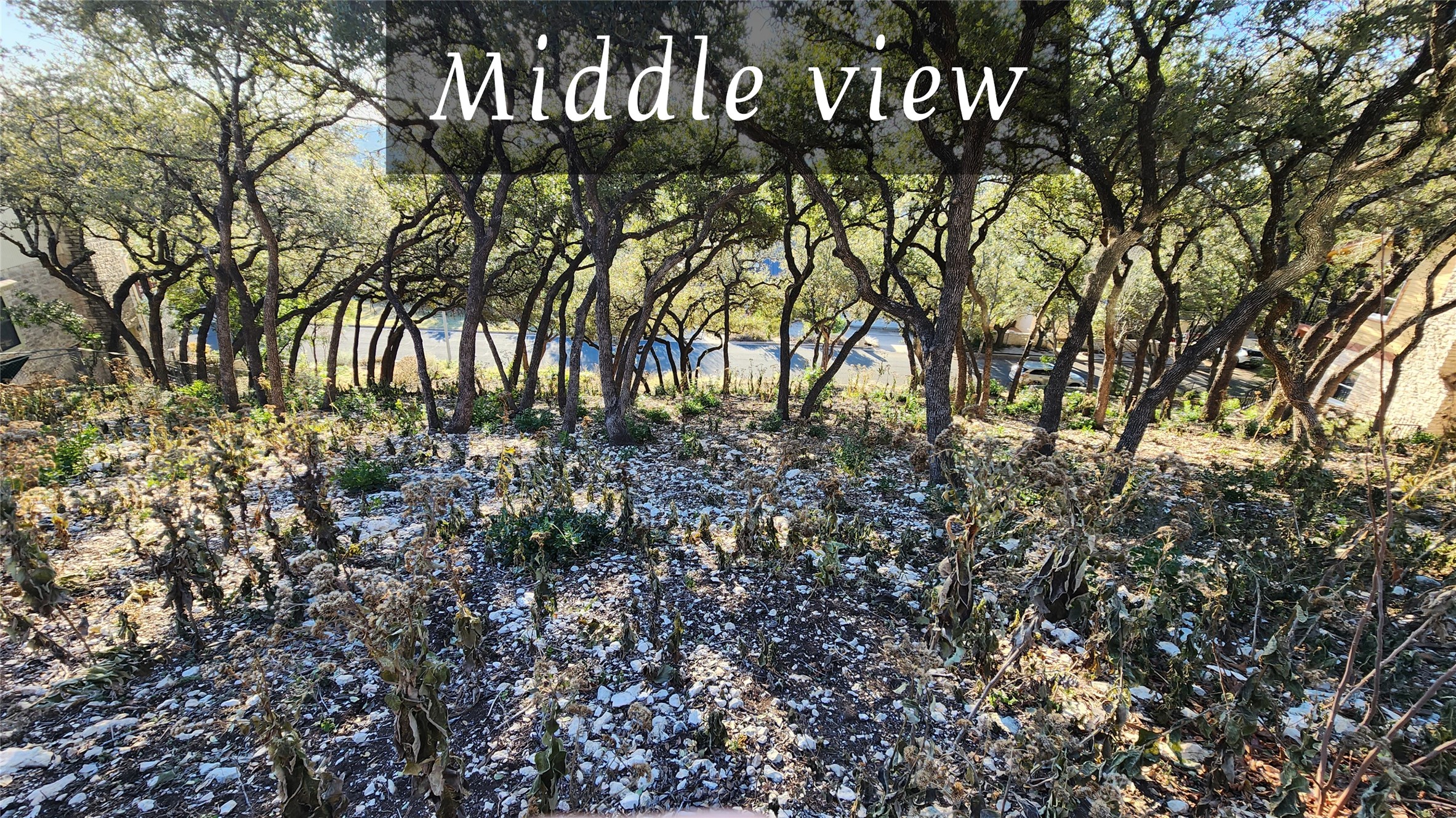 4100 Firstview Drive, Austin, TX, 78731 | 69721237 | Realty Texas LLC