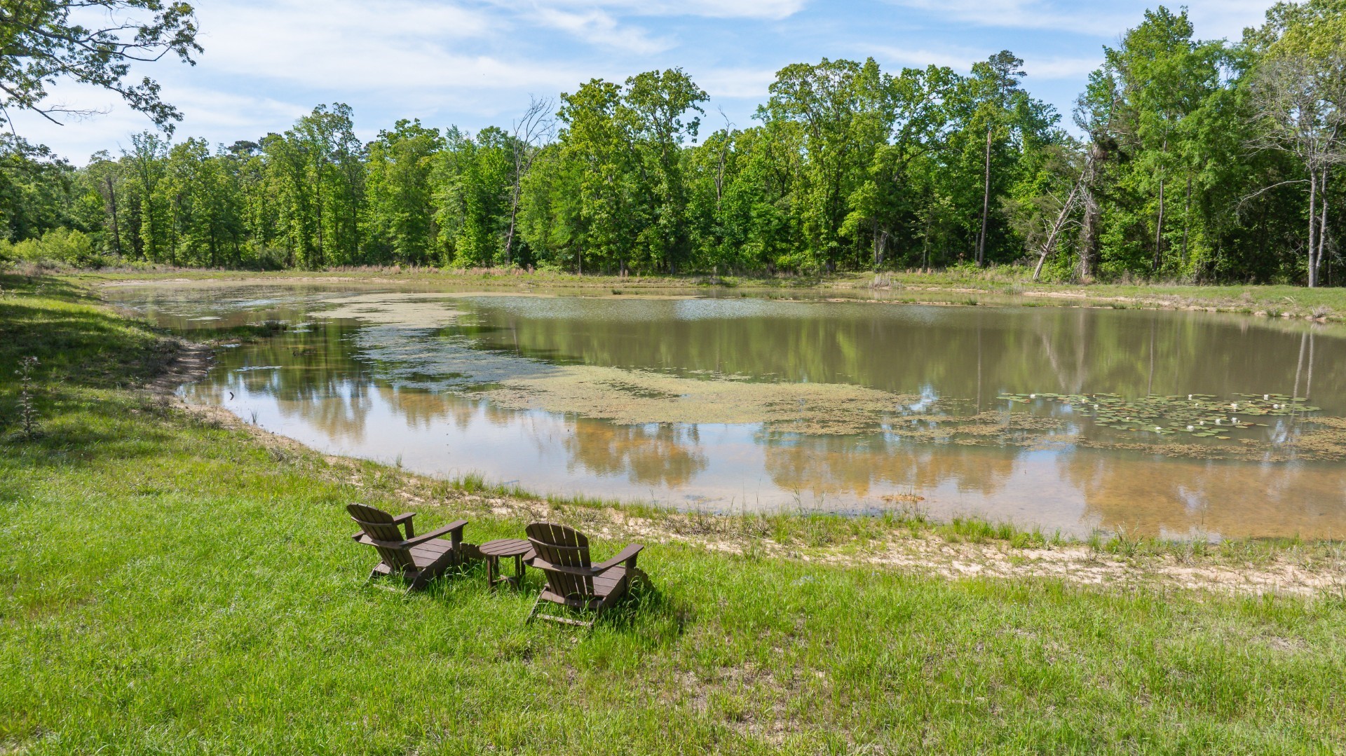 8324 Fm 44 E, Simms, TX, 75574 | 21374003 | Realty Texas LLC