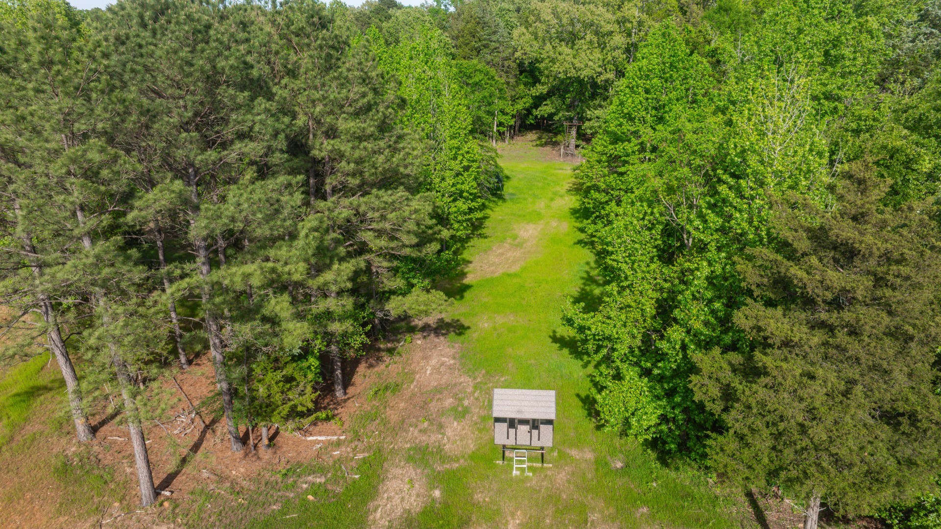 8324 Fm 44 E, Simms, TX, 75574 | 21374003 | Realty Texas LLC