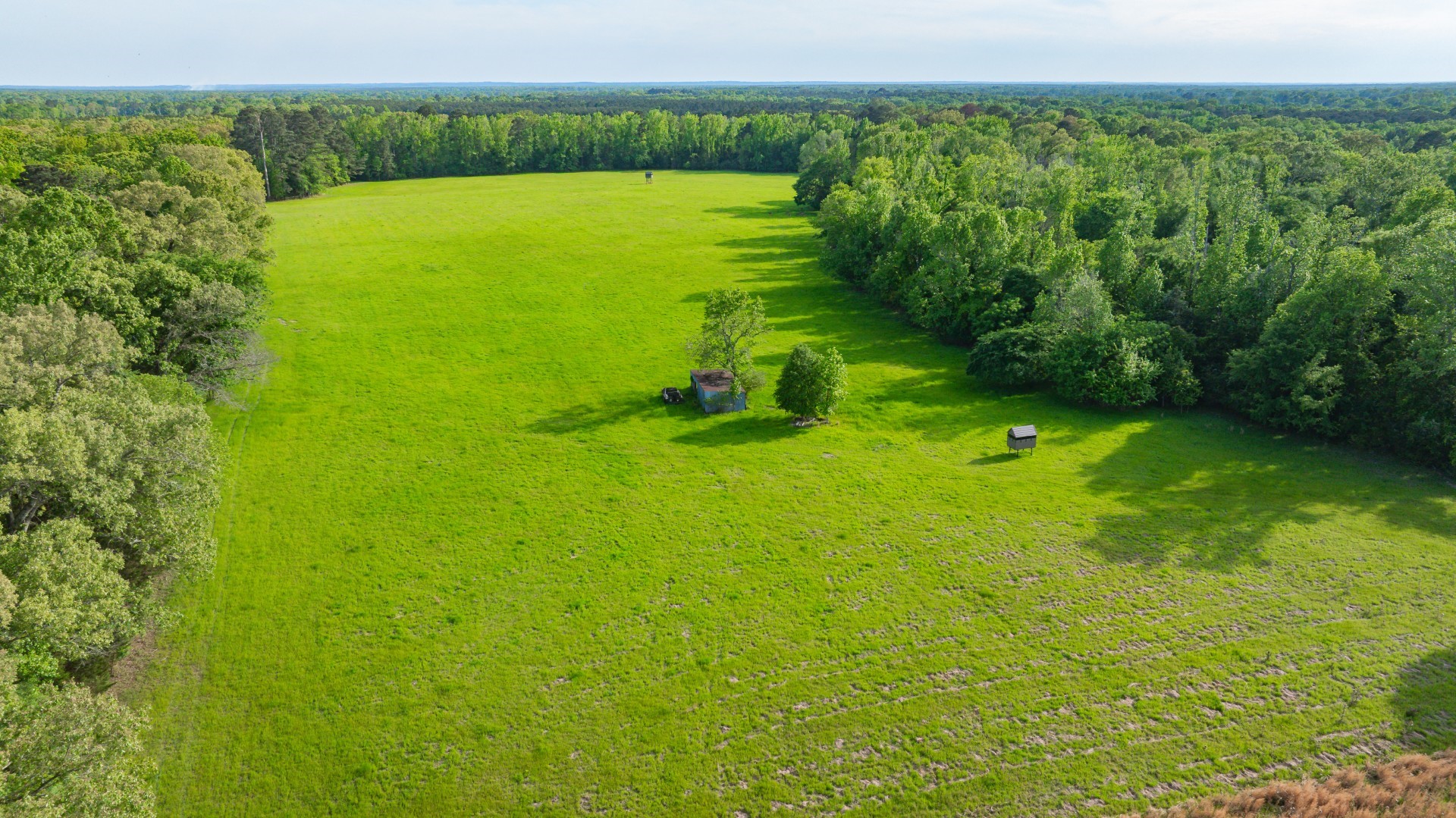 8324 Fm 44 E, Simms, TX, 75574 | 21374003 | Realty Texas LLC